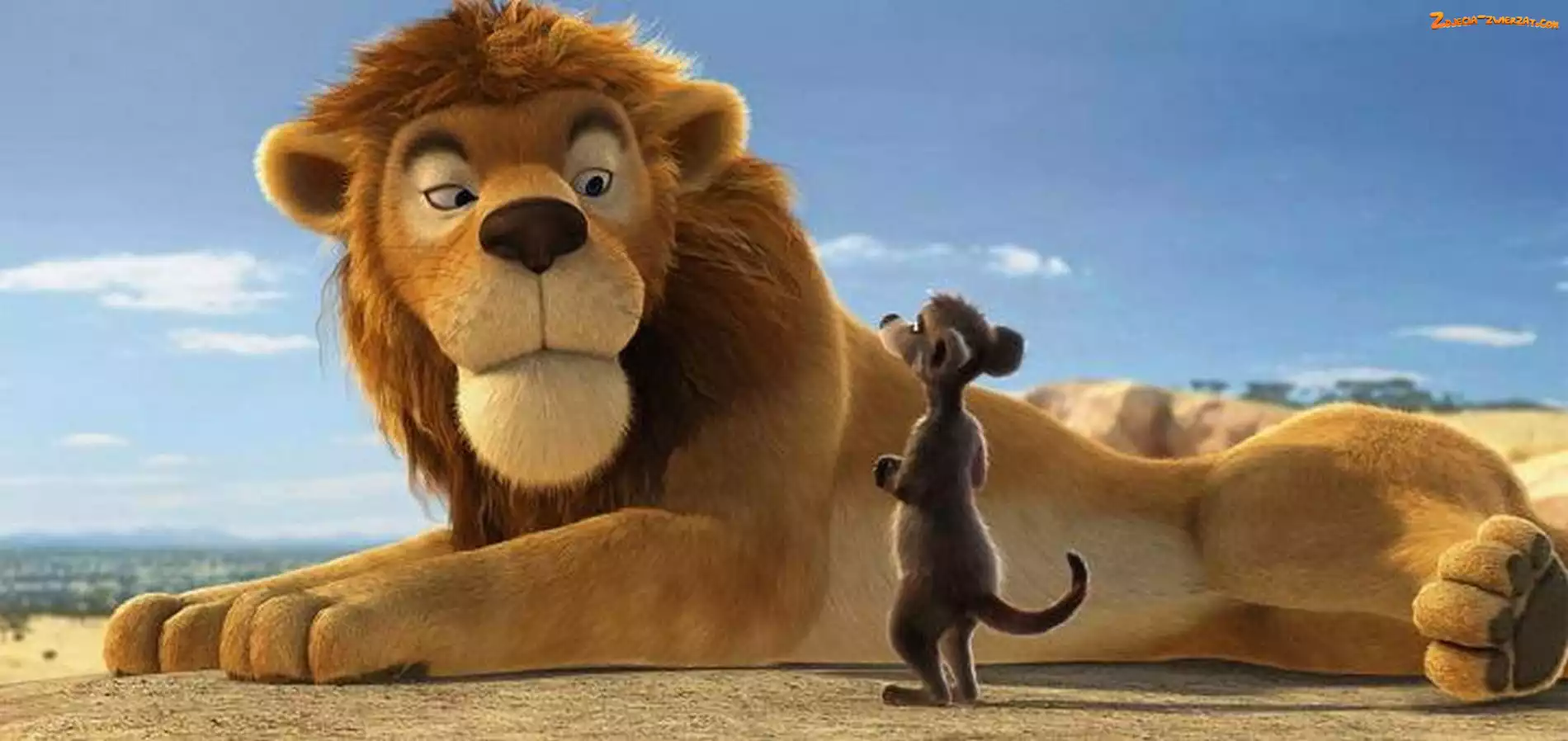 Lew, Safari 3D, Billy, Opos, Konferenz der Tiere, Sokrates
