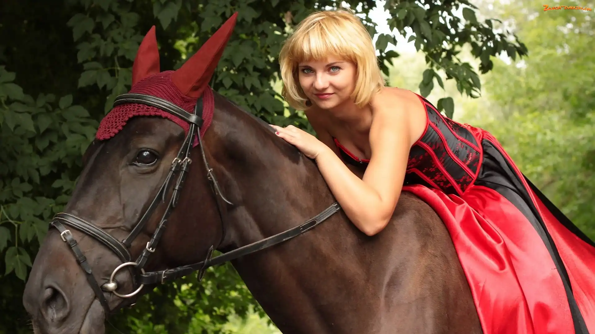 Blondynka, Uszy, Kobieta, Koń