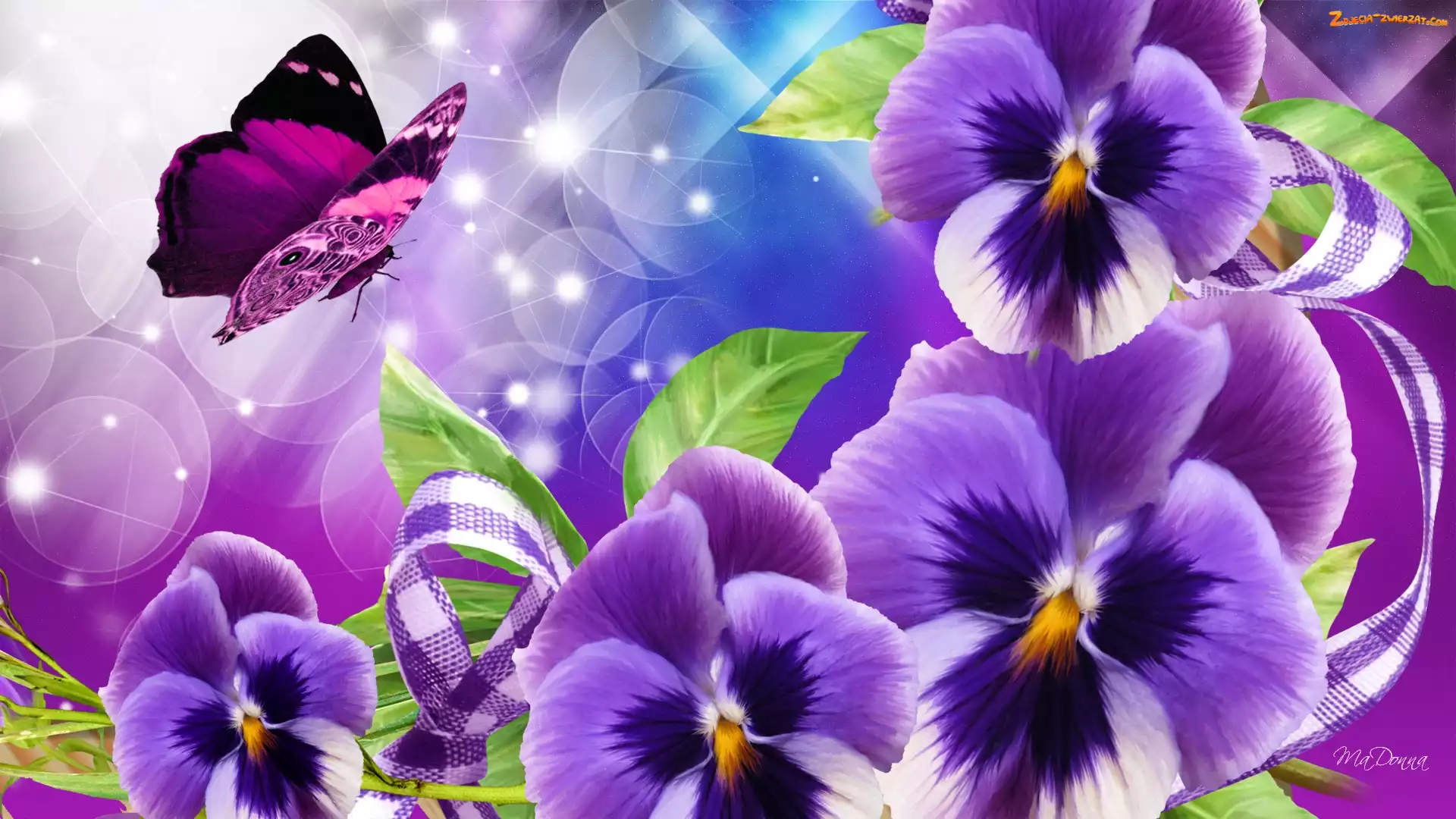Art, Bratki, Motyl