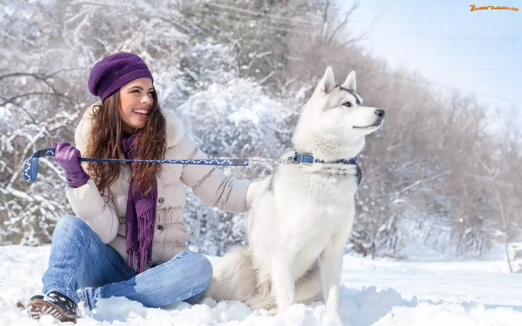 Brunetka, Śnieg, Siberian Husky, Zima