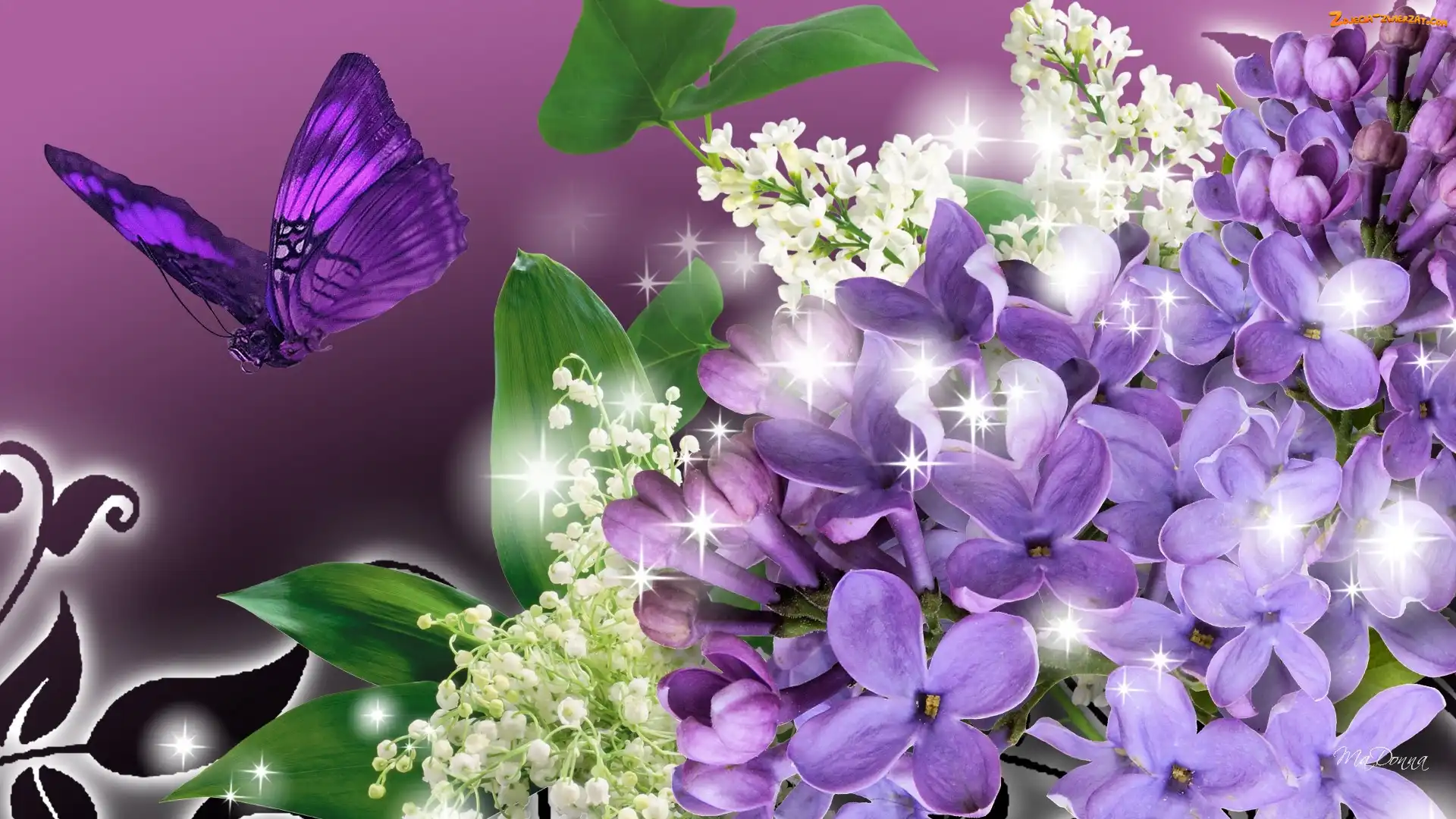 Motyl, Bzy, Konwalie