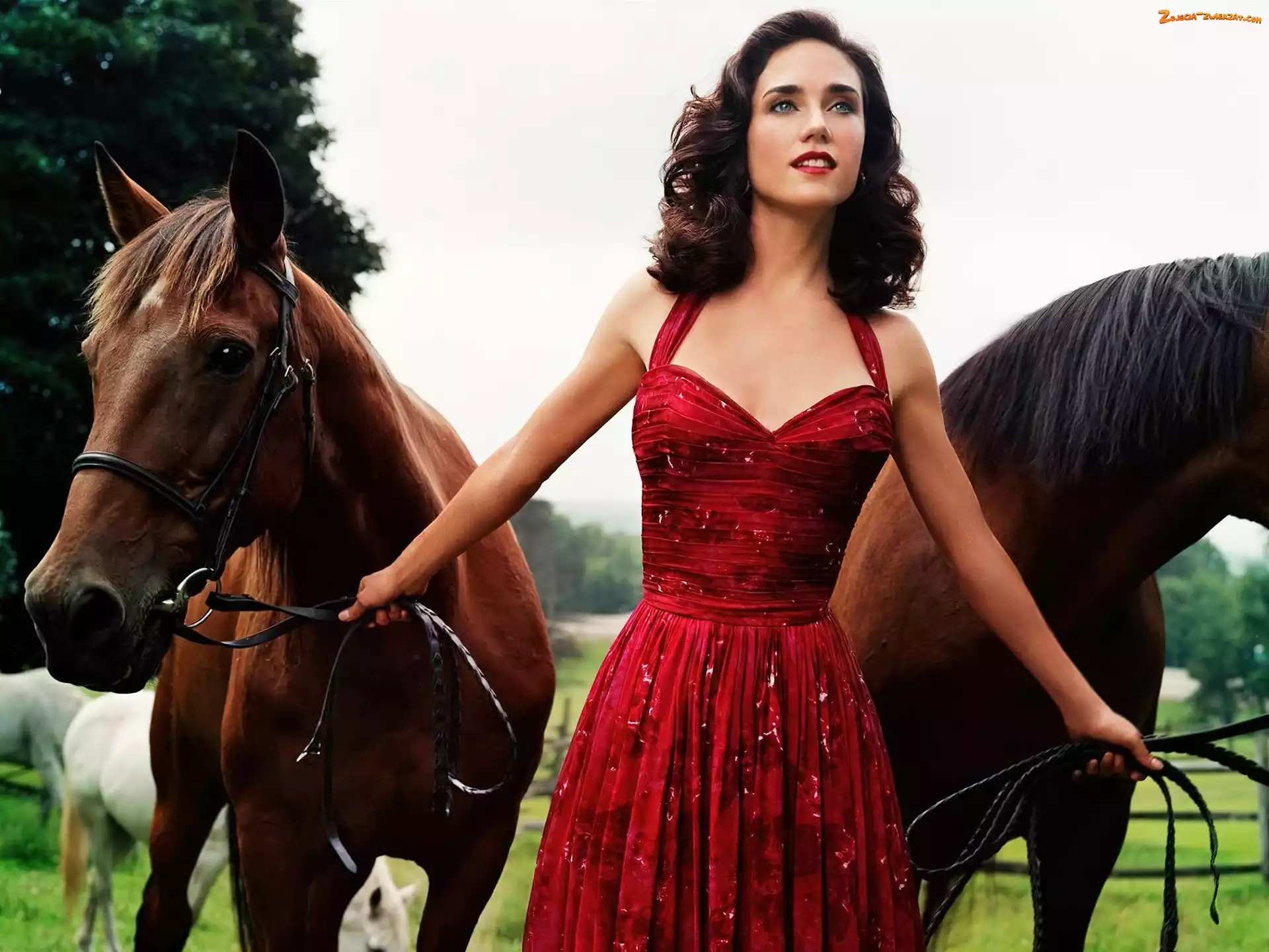 Konie, Jennifer Connelly