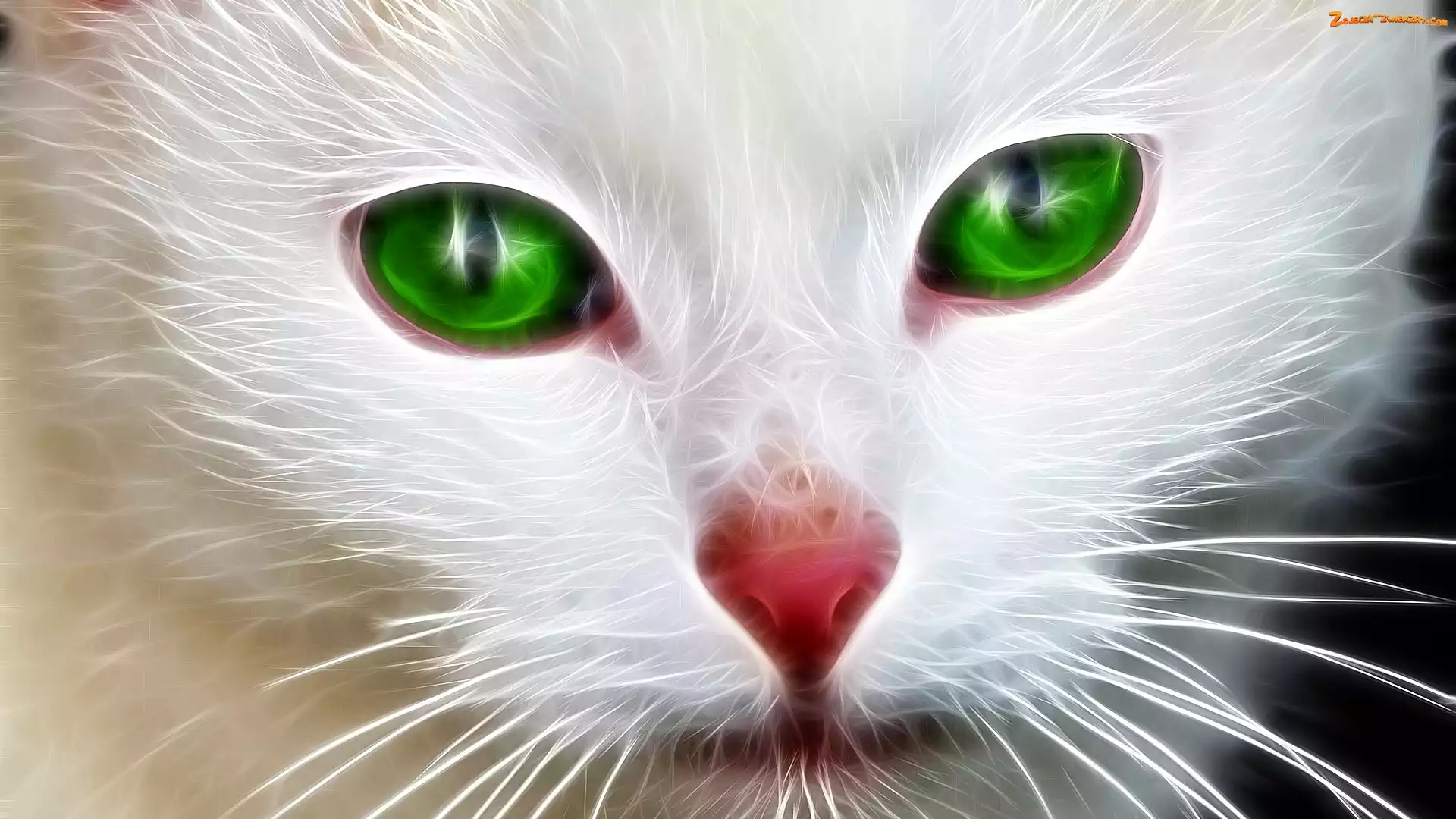 Fractalius, Czerwony, Kot, Zielone, Oczy, Mordka, Nos