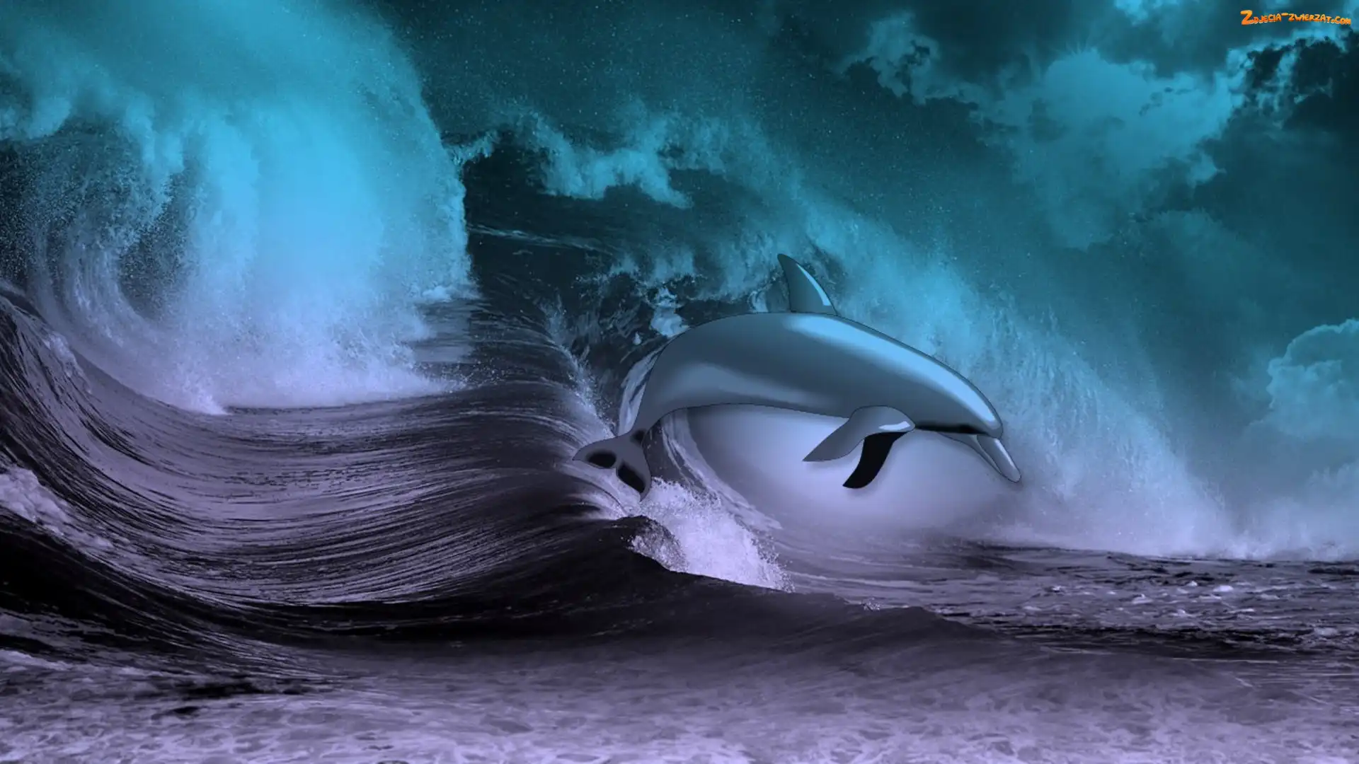 Fale, Delfin, Woda