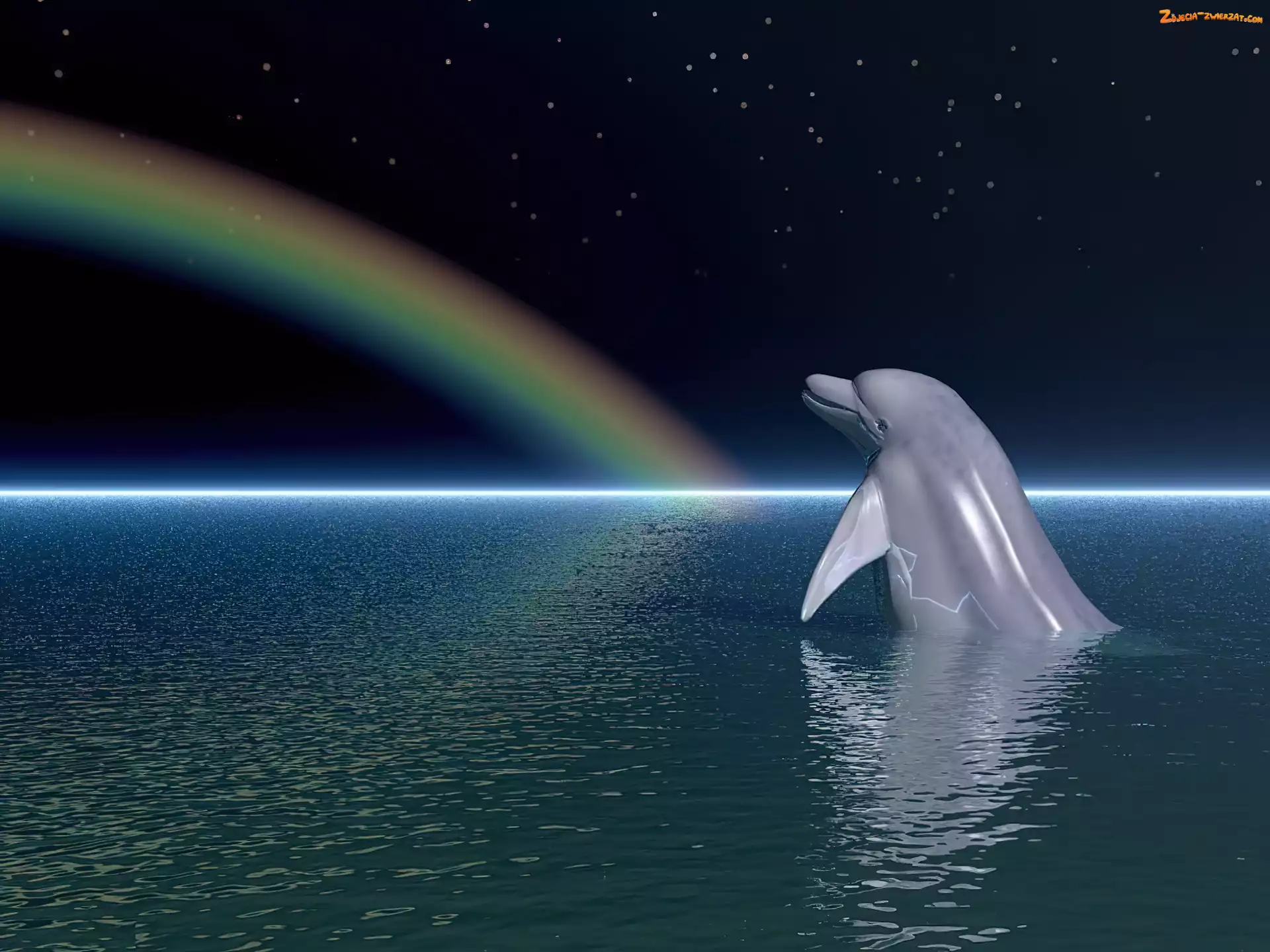 Ocean, Delfin, Tęcza