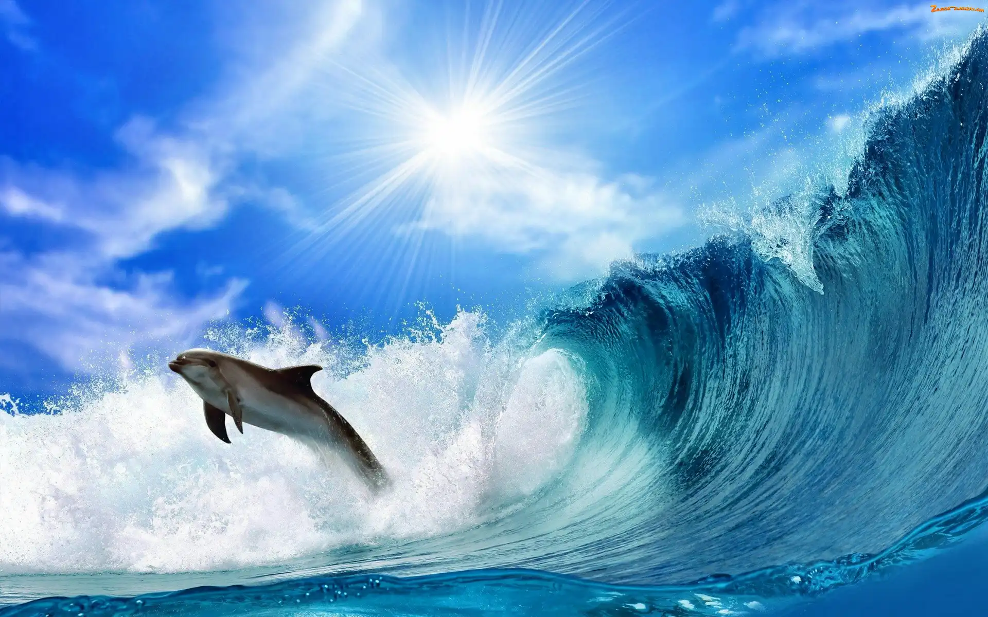 Słońce, Delfin, Fala