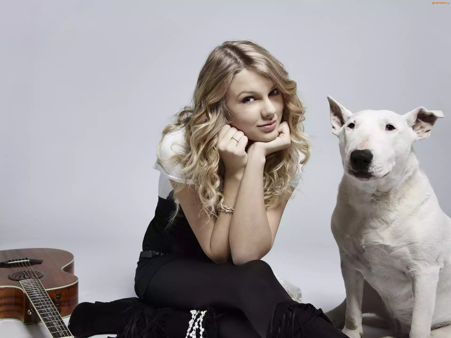 Dog argentyński, Swift Taylor, Pies