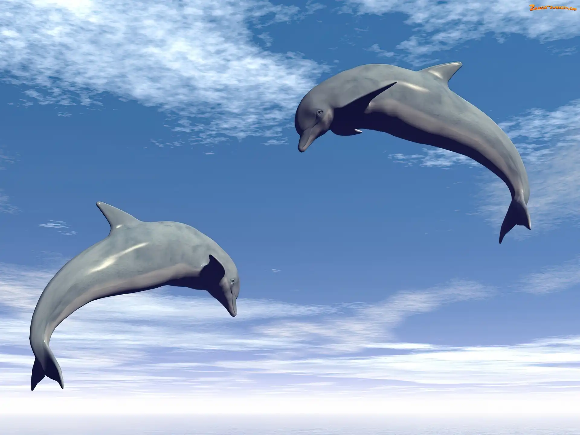 Chmury, Dwa, Delfiny