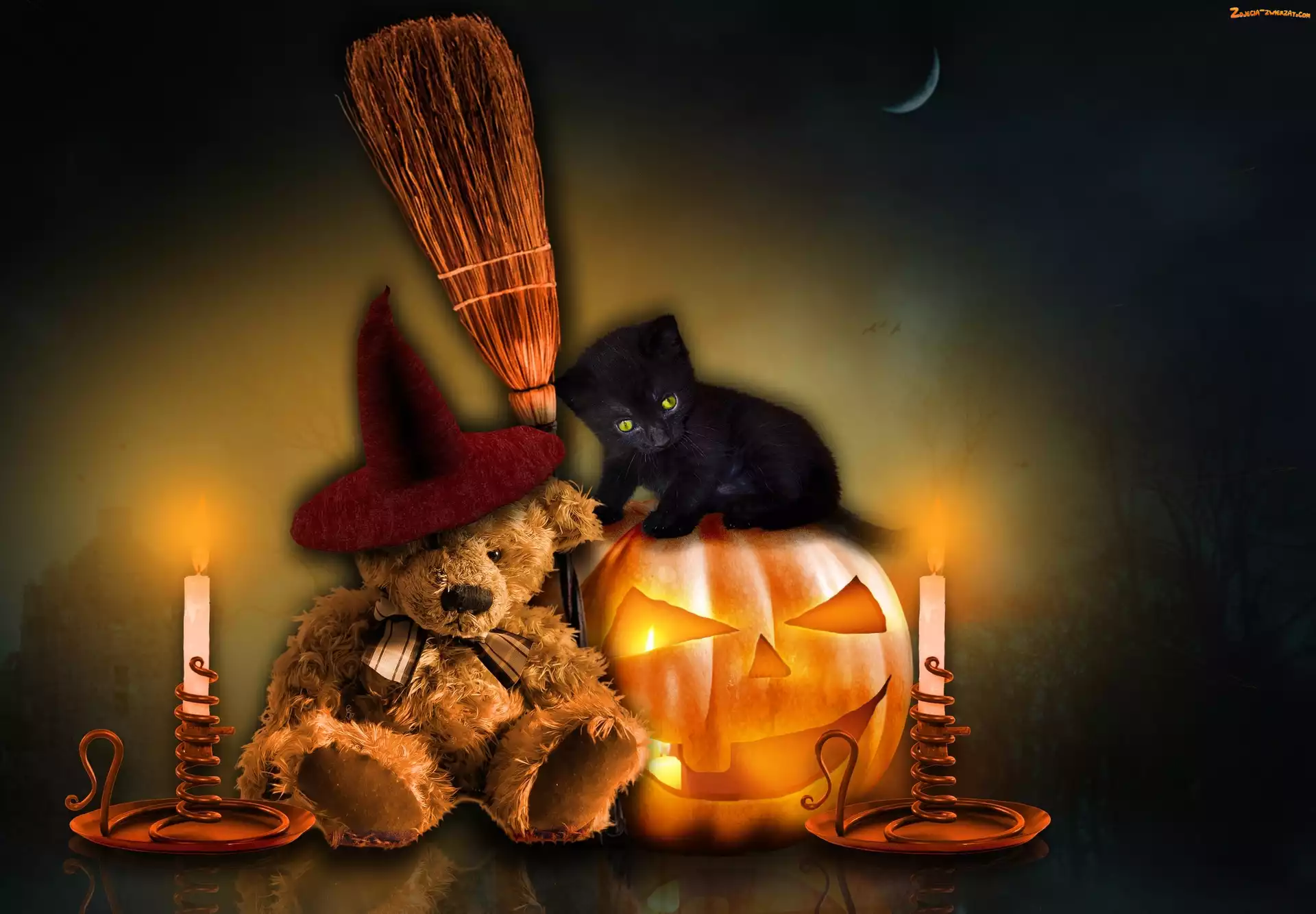 Dynia, Świece, Kot, Halloween, Miś
