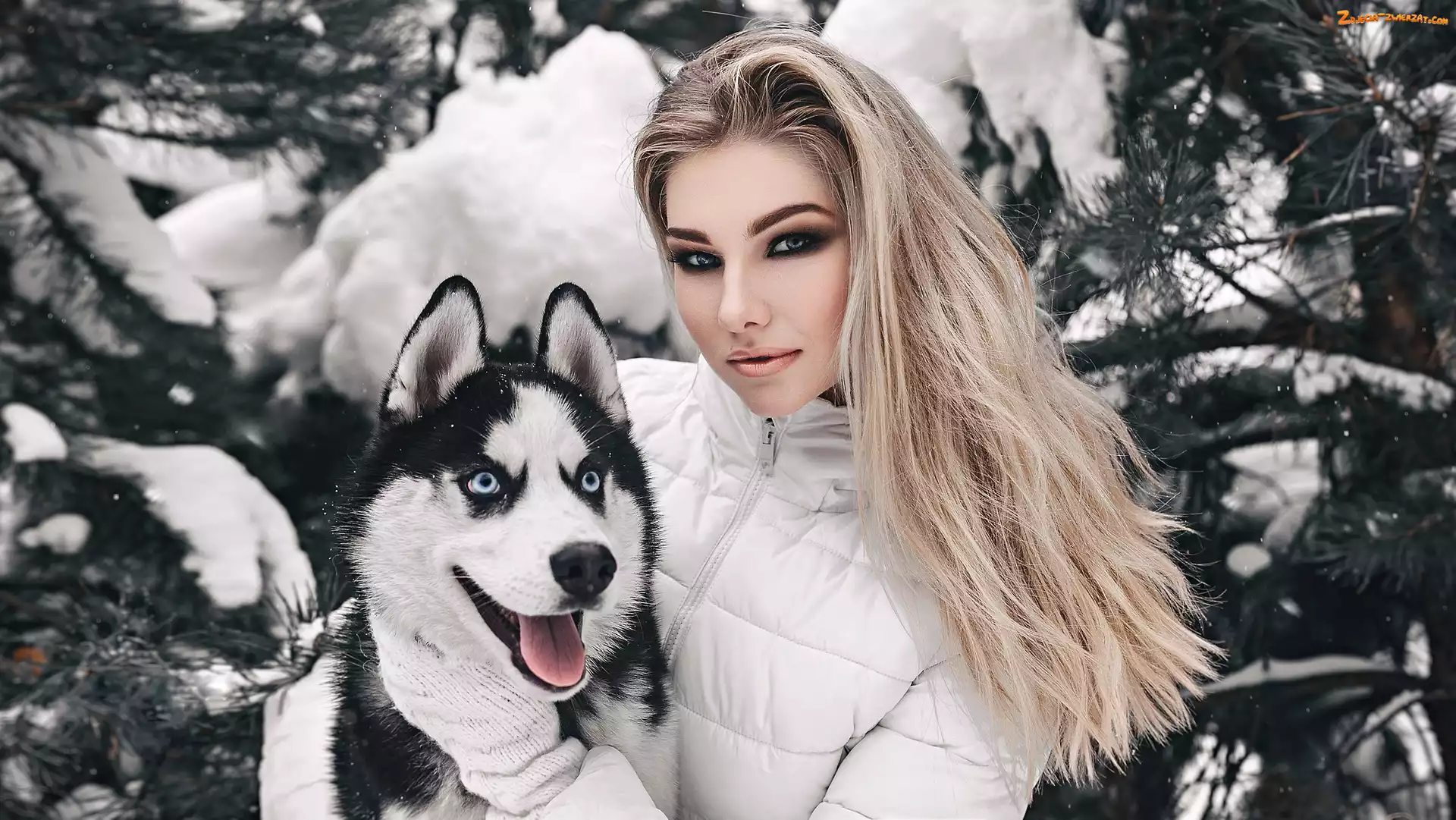 Pies, Dziewczyna, Śnieg, Zima, Blondynka, Siberian husky