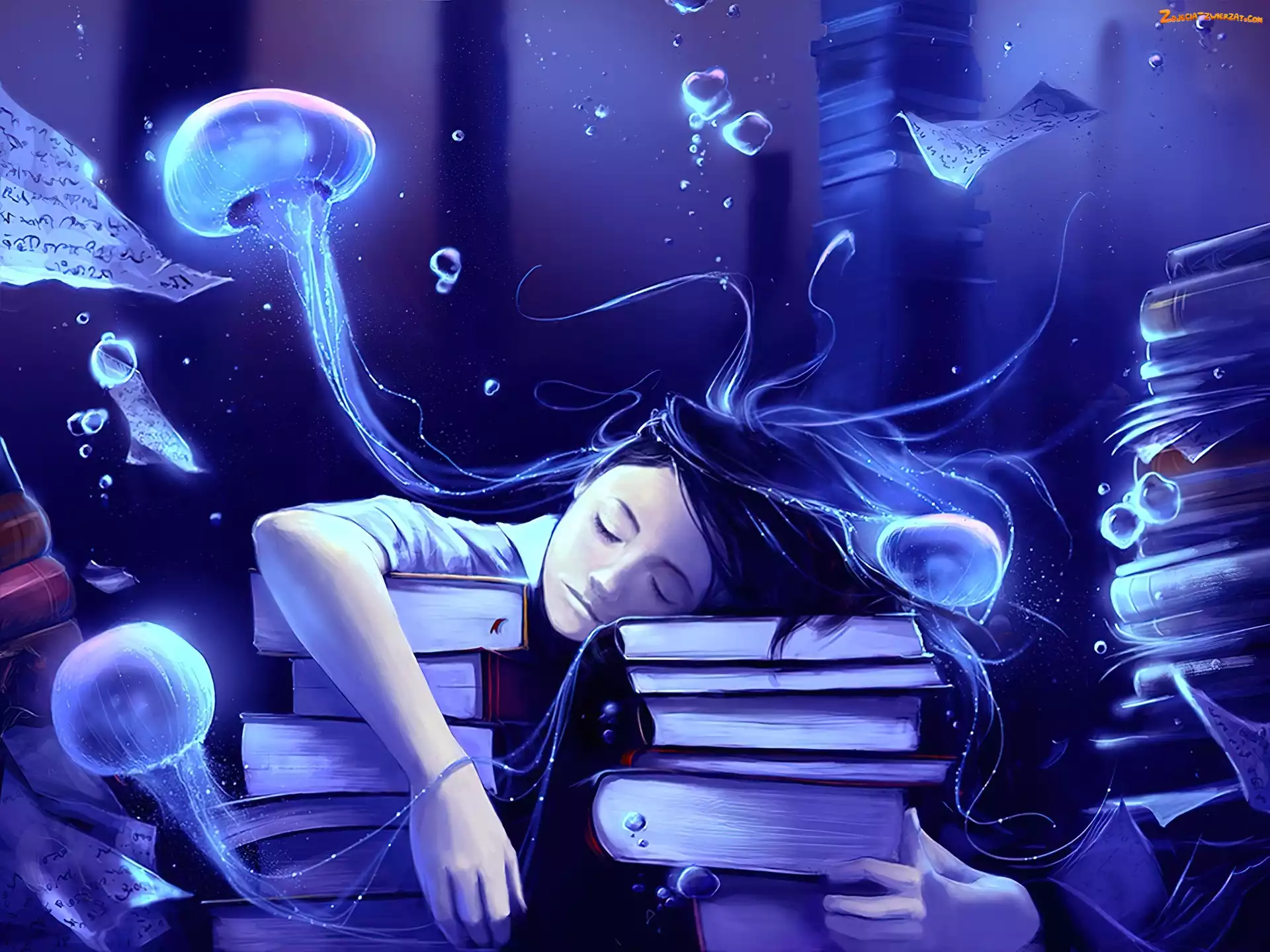 Dziewczyna, Meduzy, Cyril Rolando, Książki