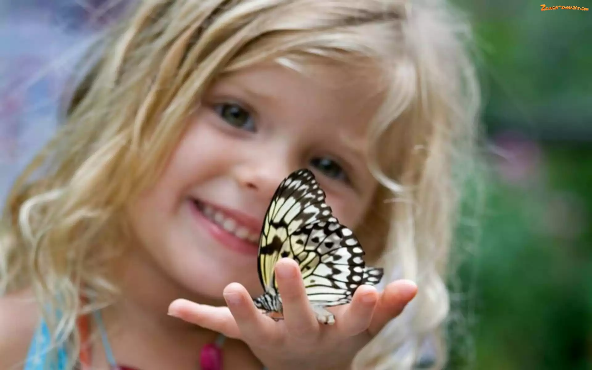 Motyl, Dziewczynka, Dłoń