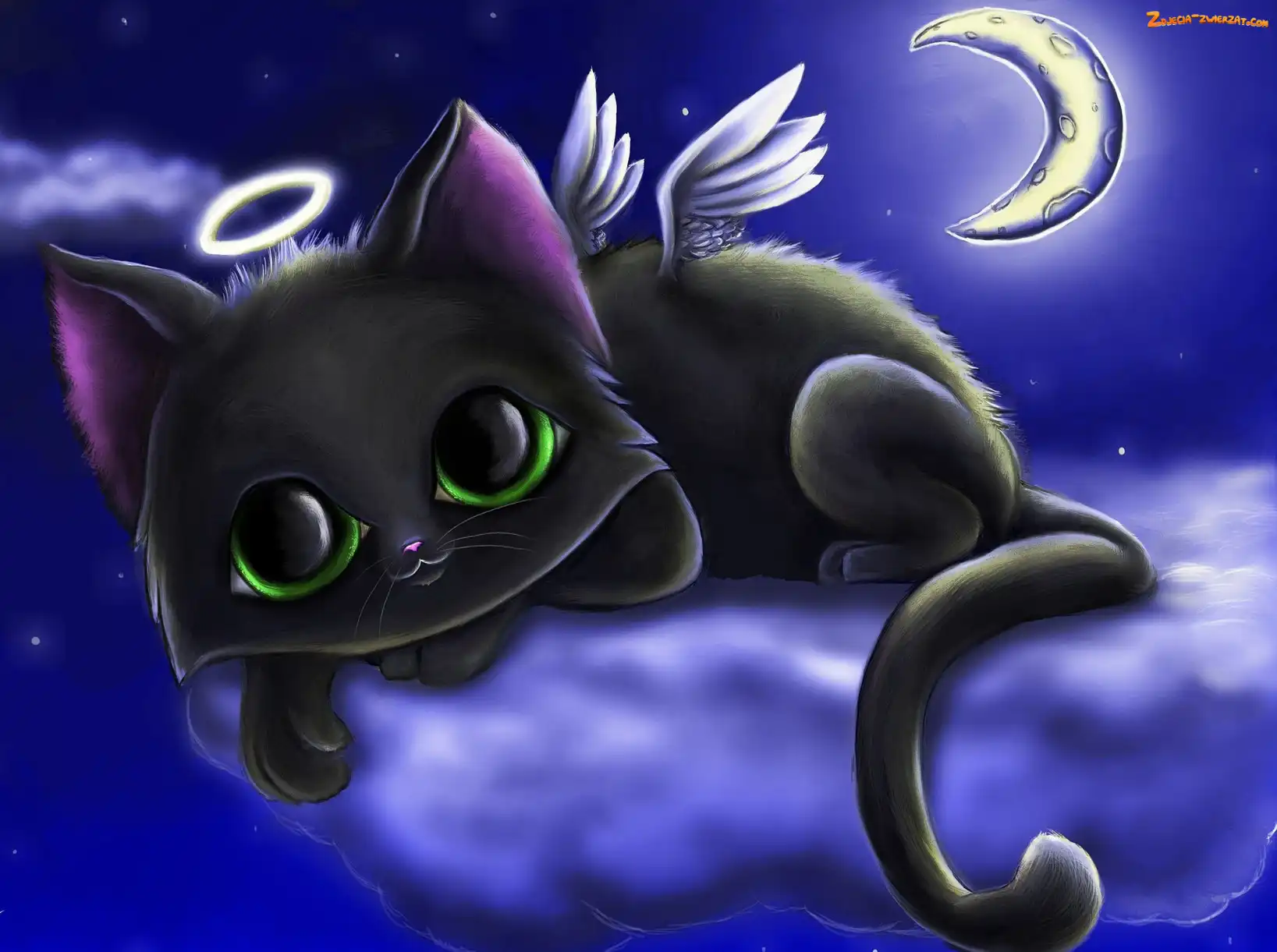 Chmurka, Fantasy, Kot