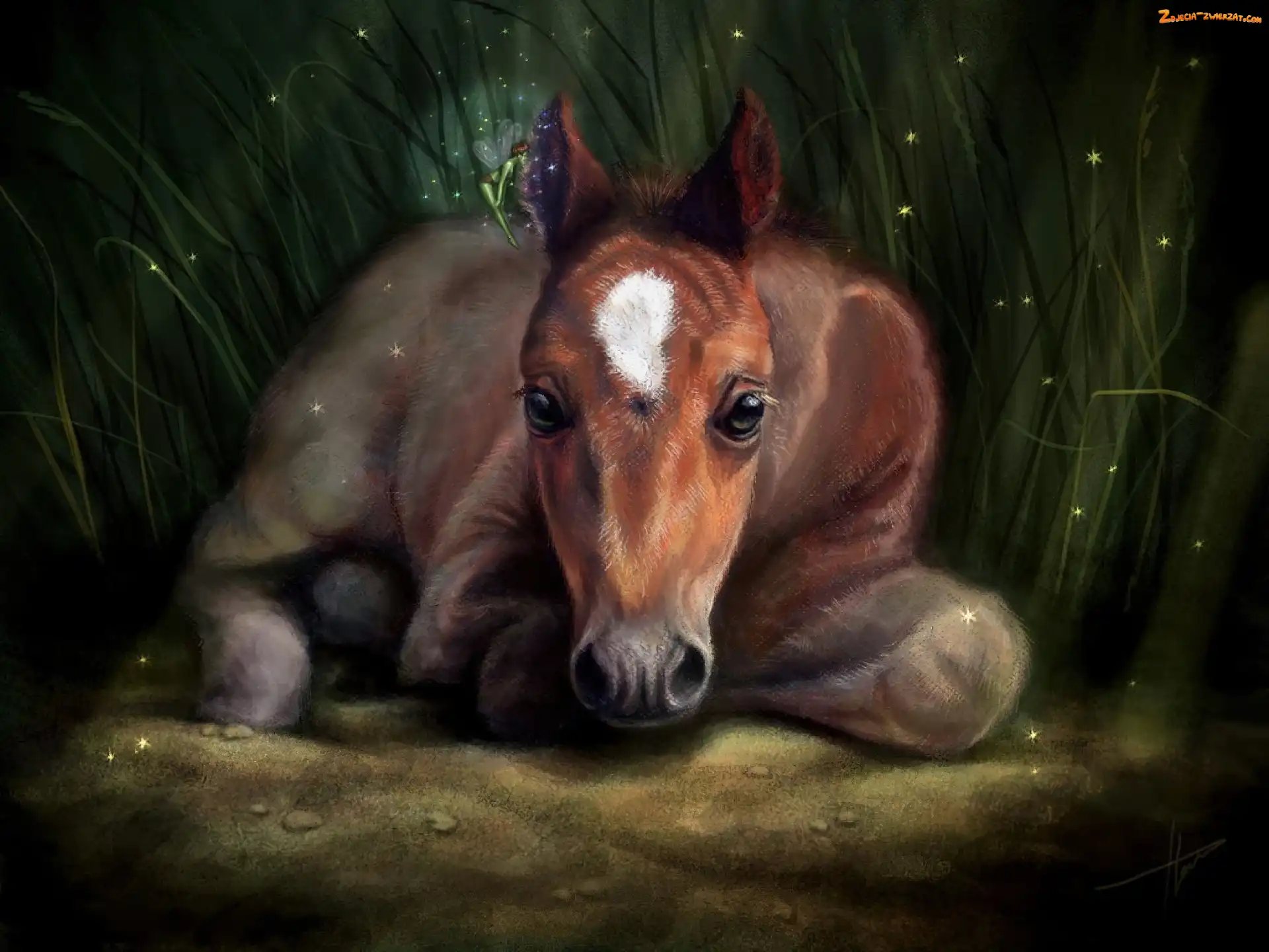Fantasy, Art, Trawa, Koń, Magia