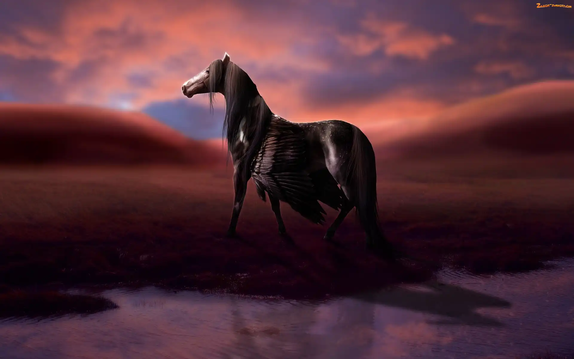 Pegaz, Fantasy, Koń
