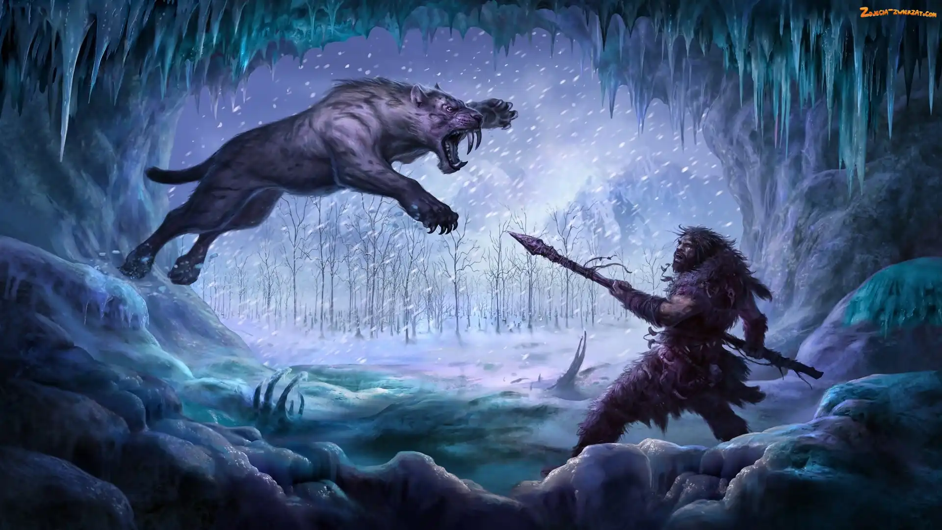 Fantasy, Dzida, Tygrys, Mężczyzna