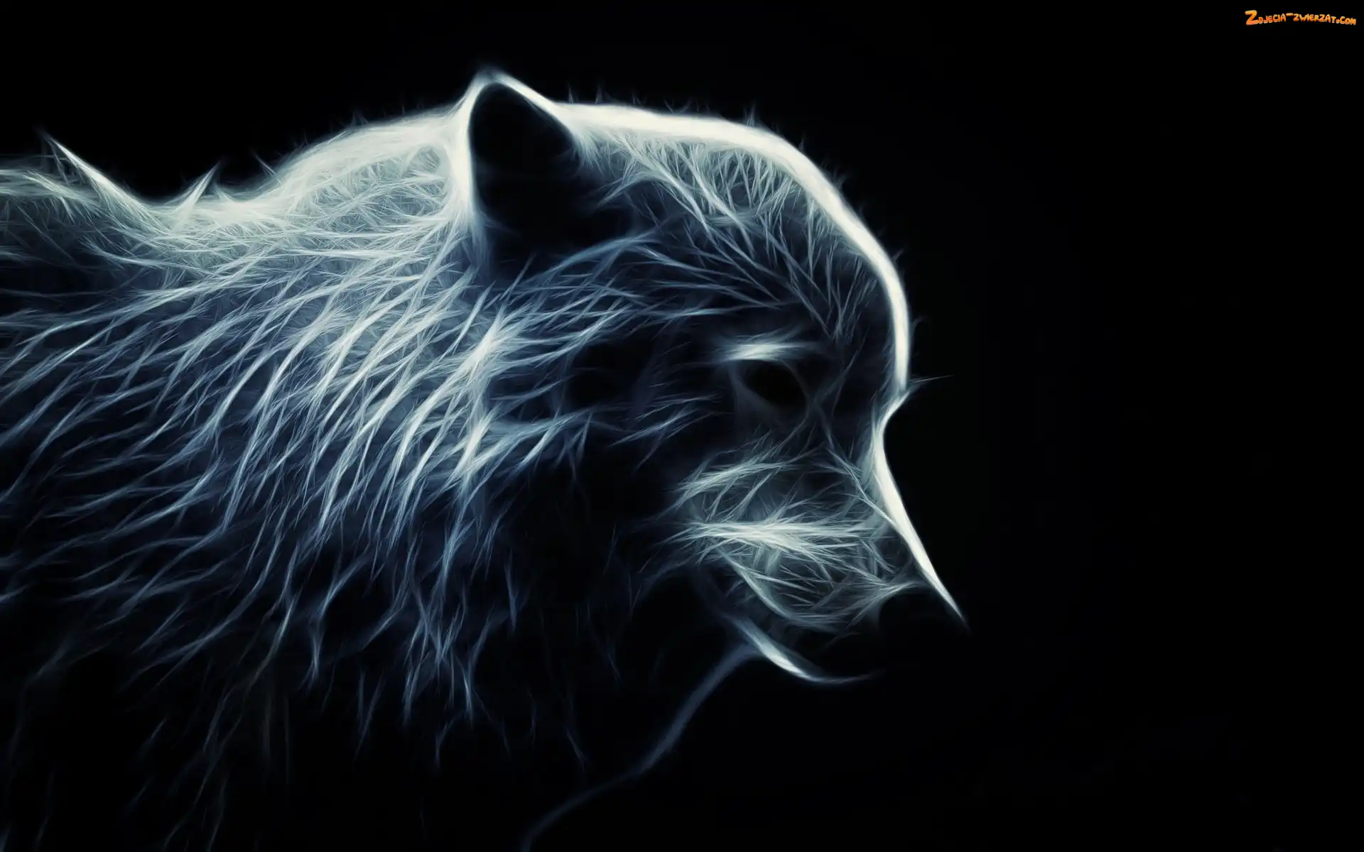 Fractalius, Wilk, Tło, Czarne, Profil, Grafika