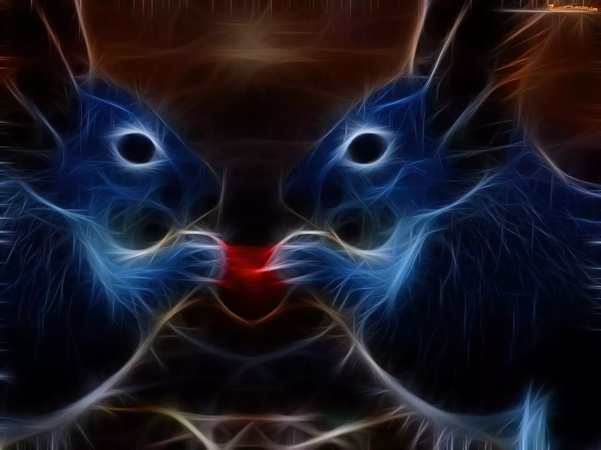 Serce, Fractalius, Wiewiórki