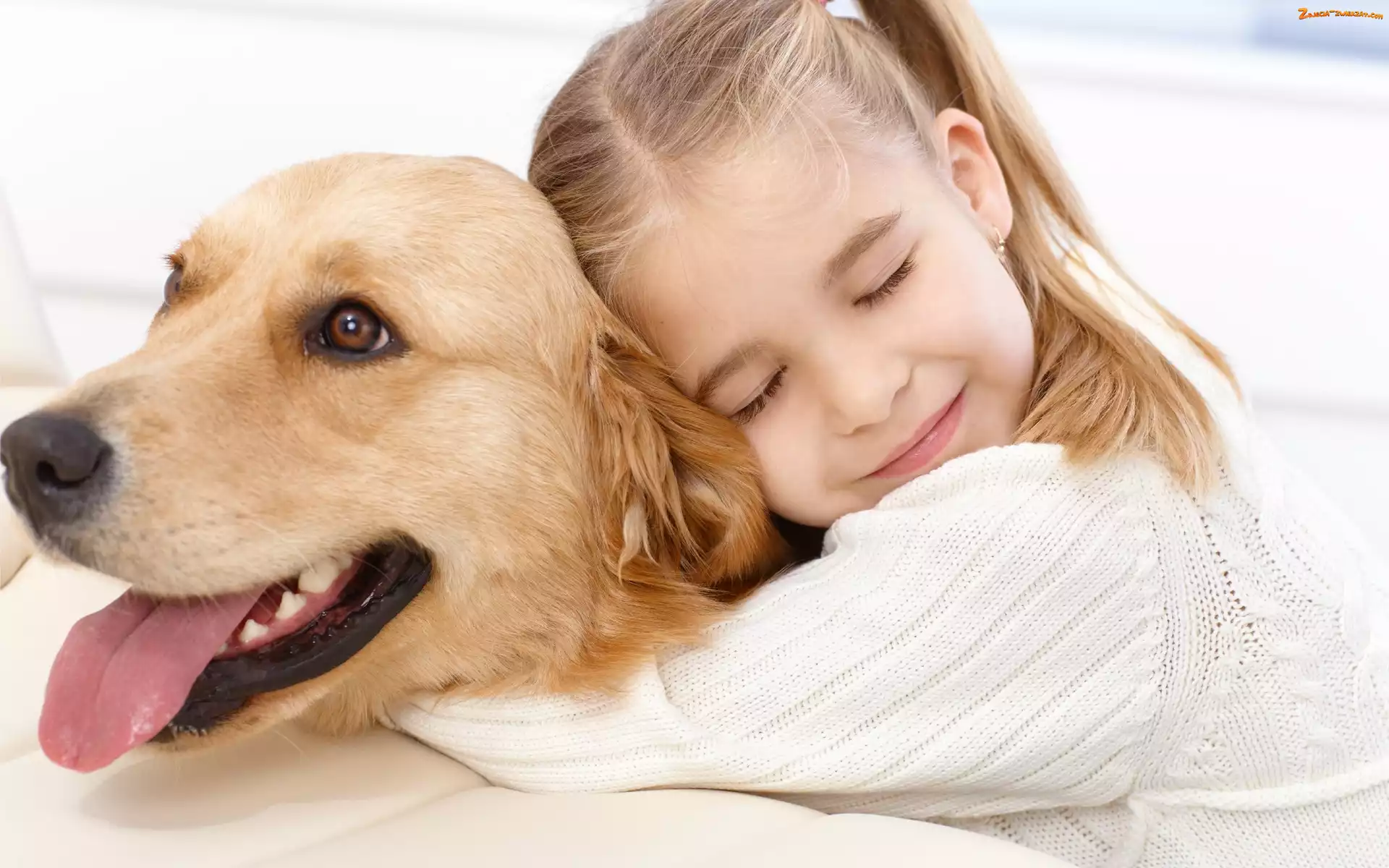 Golden, Przyjazń, Dziewczynka, Retriever