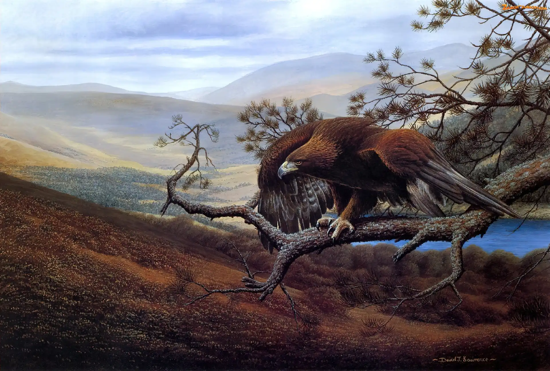 Góry, Art, Orzeł, Drzewao