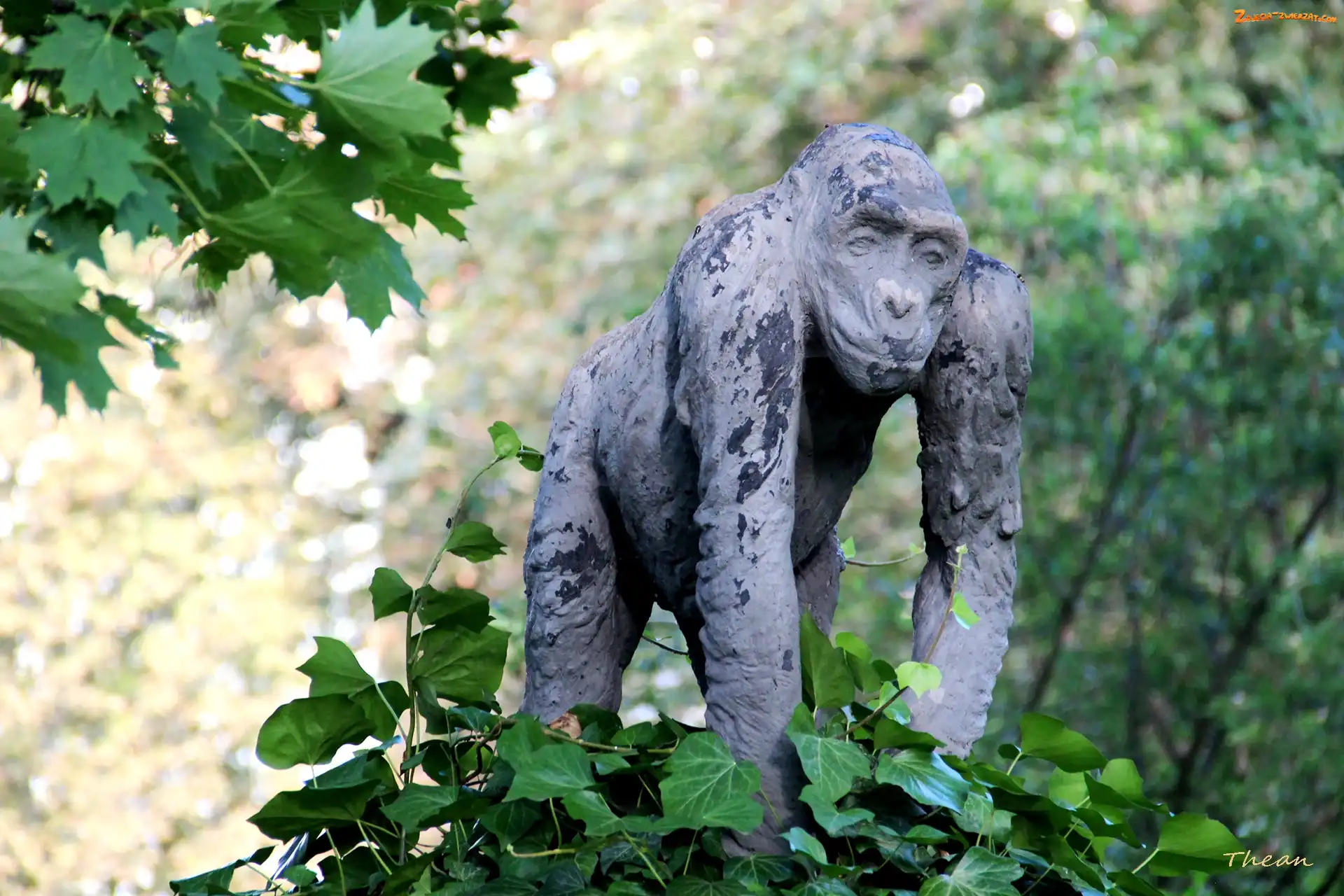 Goryl, Poznań, Posąg, Stare Zoo