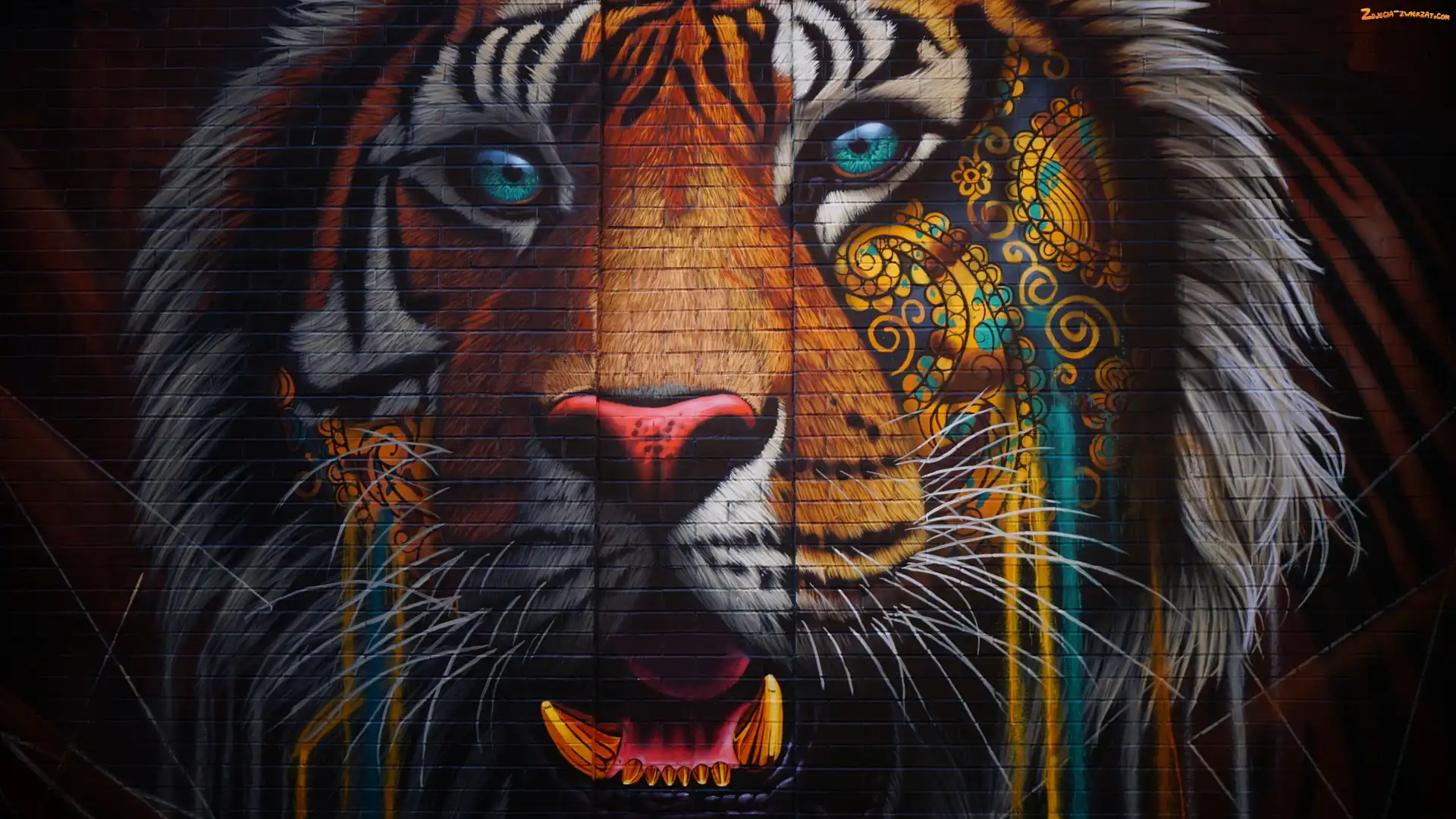 Street art, Ściana, Tygrys