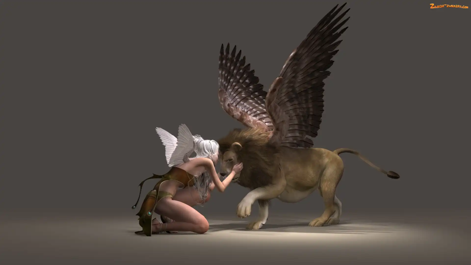 Grafika 3D, Skrzydła, Anioł, Kobieta, Lew