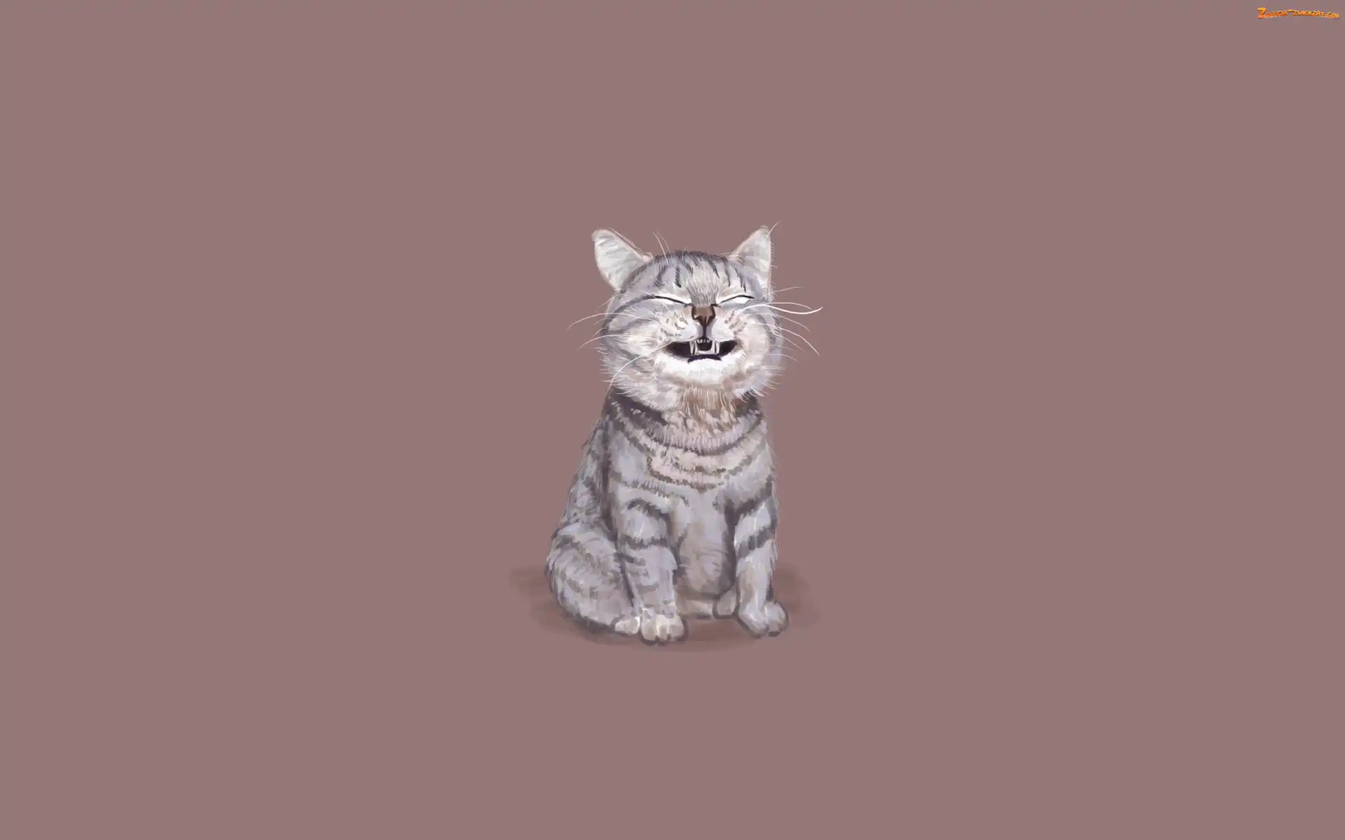 Kot, Grafika 2D