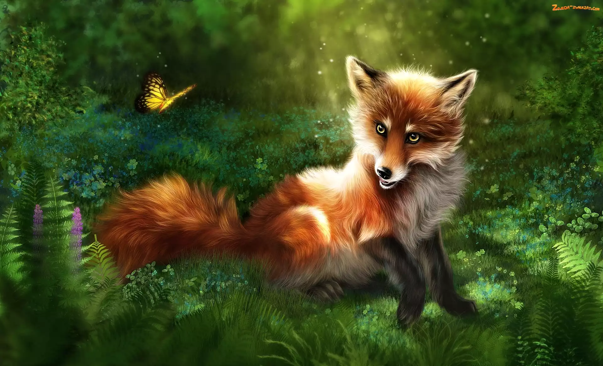 Grafika 2D, Lis, Motyl
