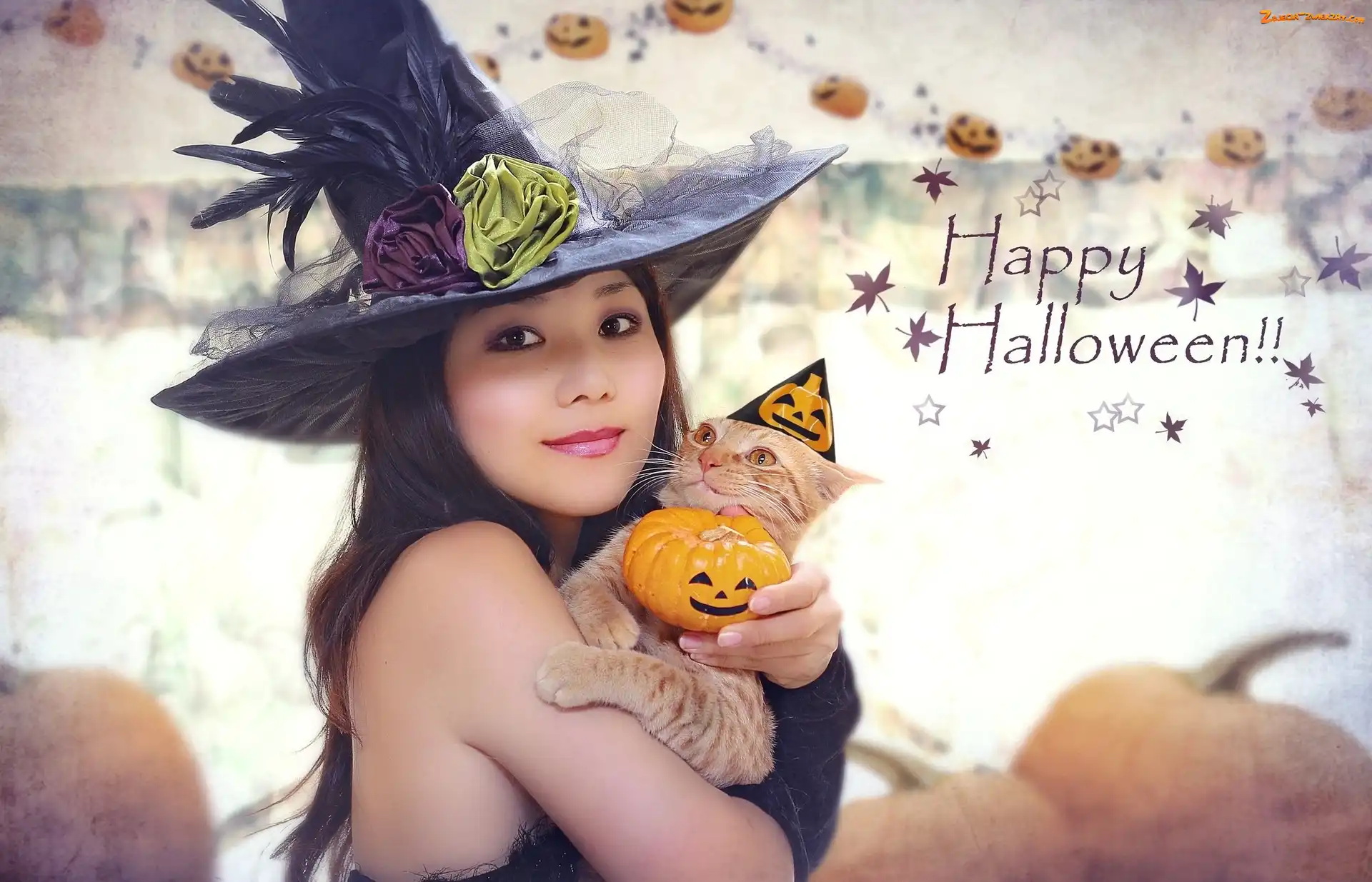 Kot, Halloween, Czarownica