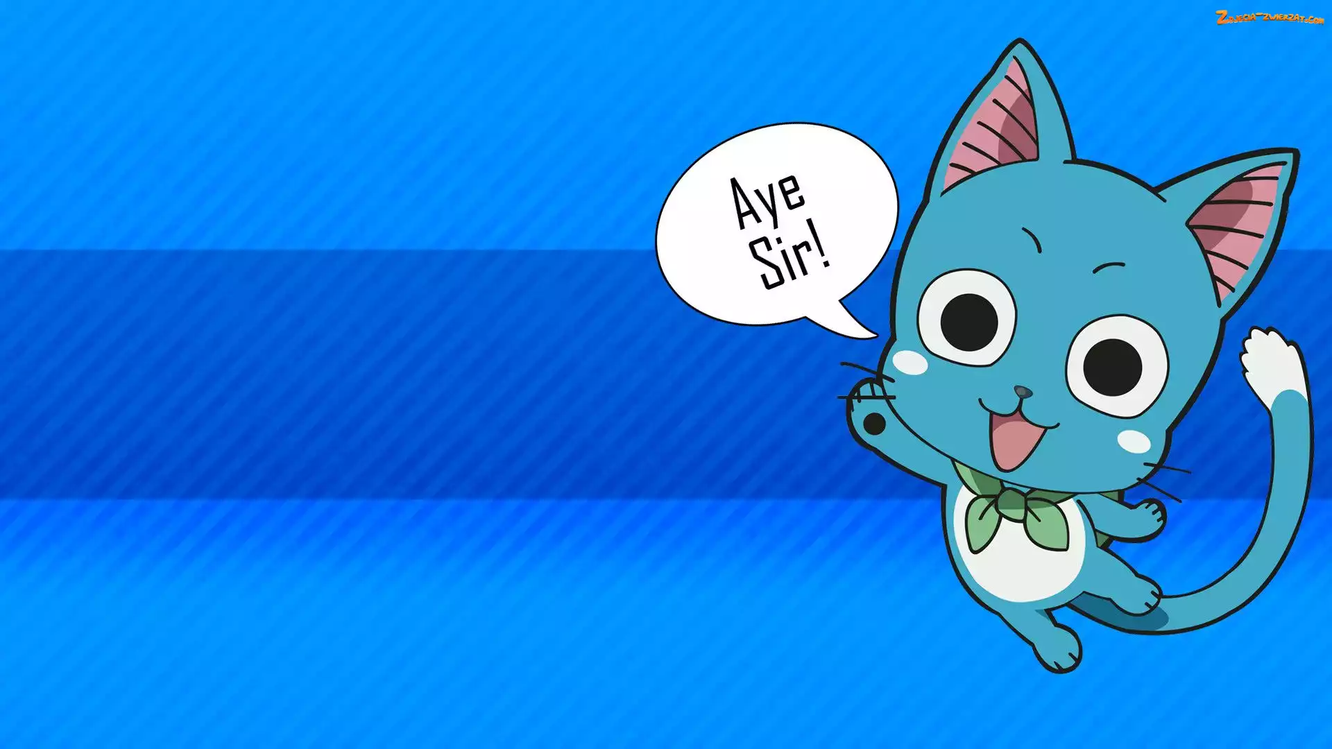 Happy, Manga Anime, Fairy Tail, Kotek