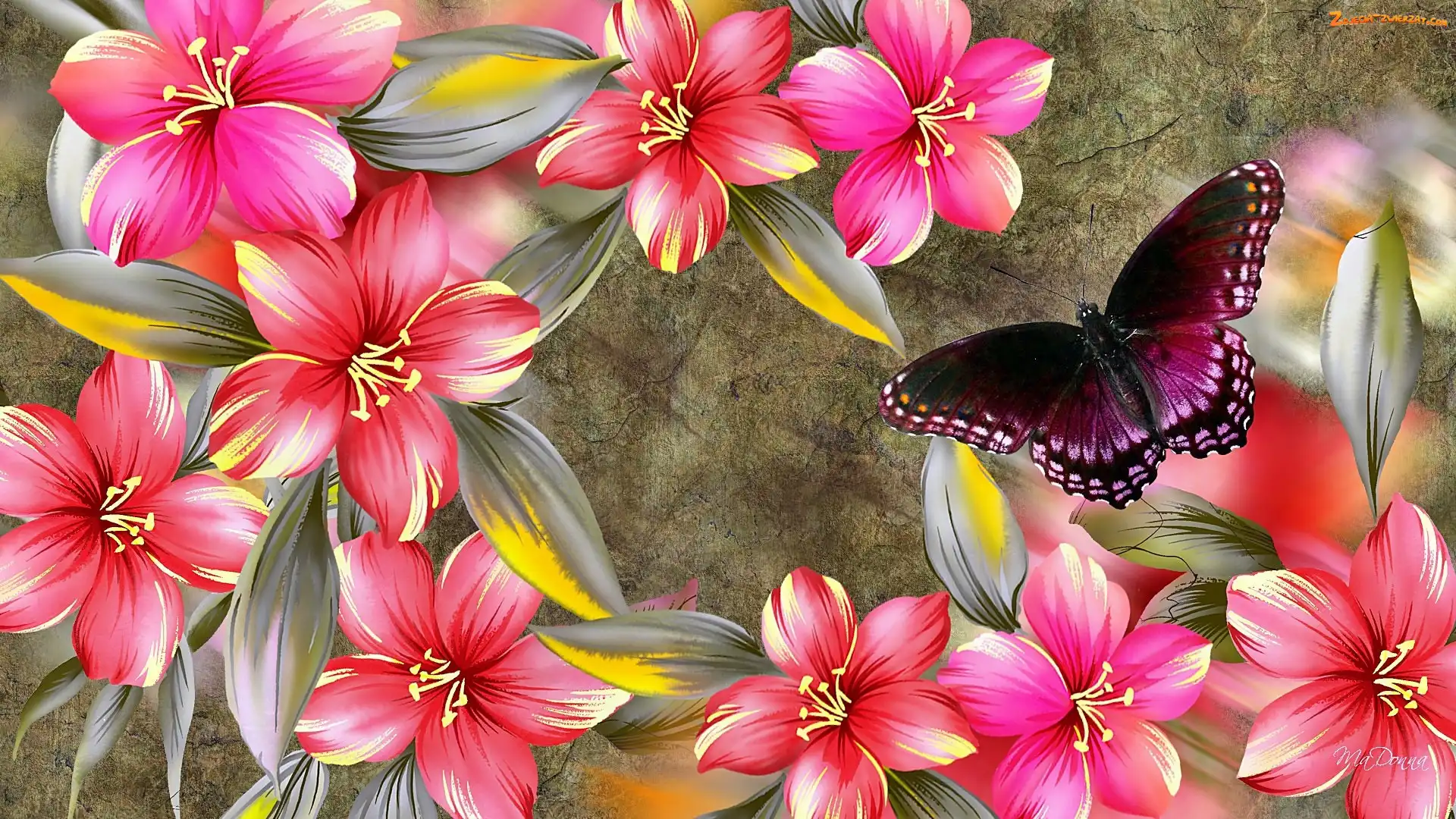 Hibiskus, Art, Kwiaty, Motyl