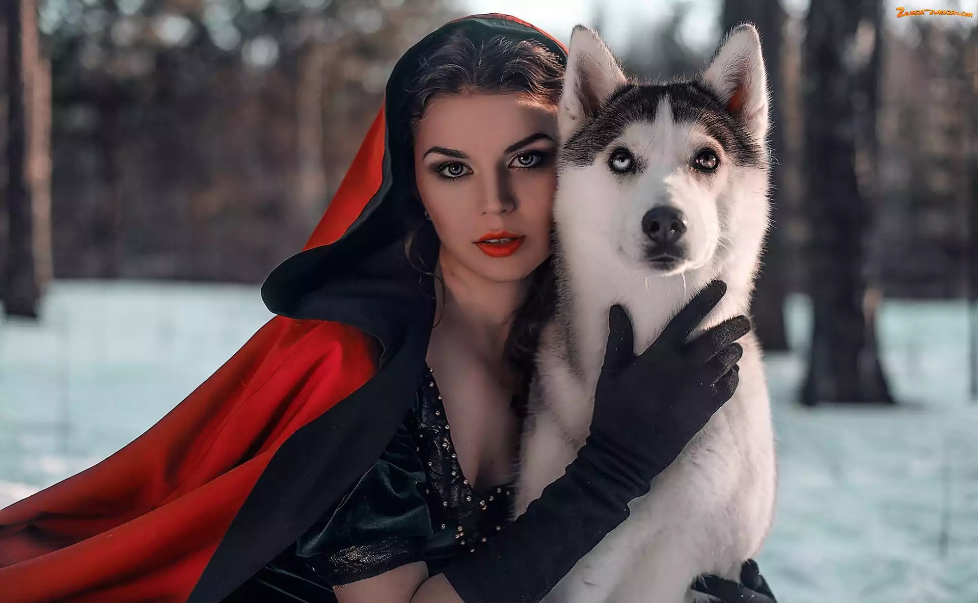 Husky, Pies, Czerwona, Kobieta, Peleryna