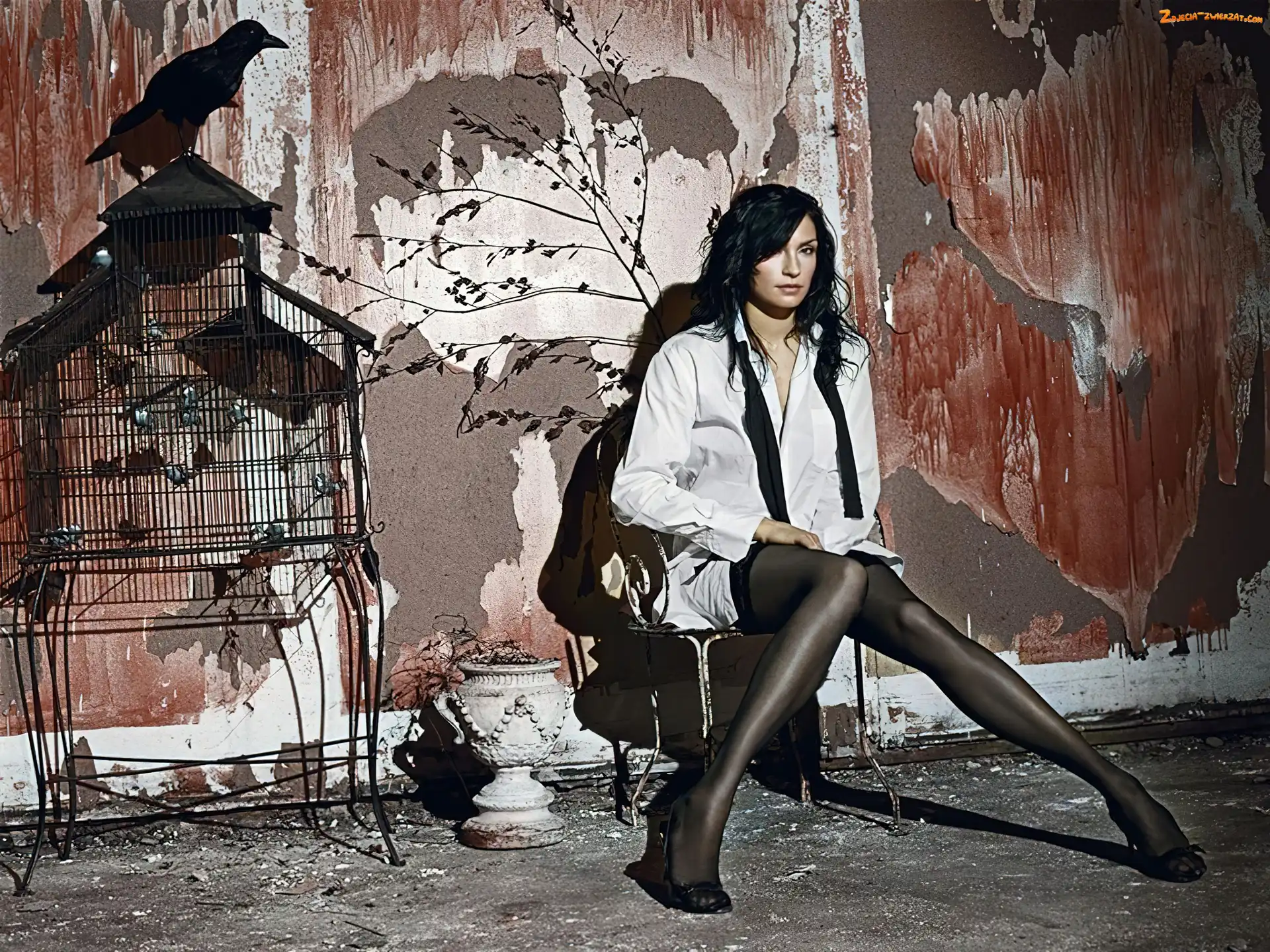 kruk, Famke Janssen