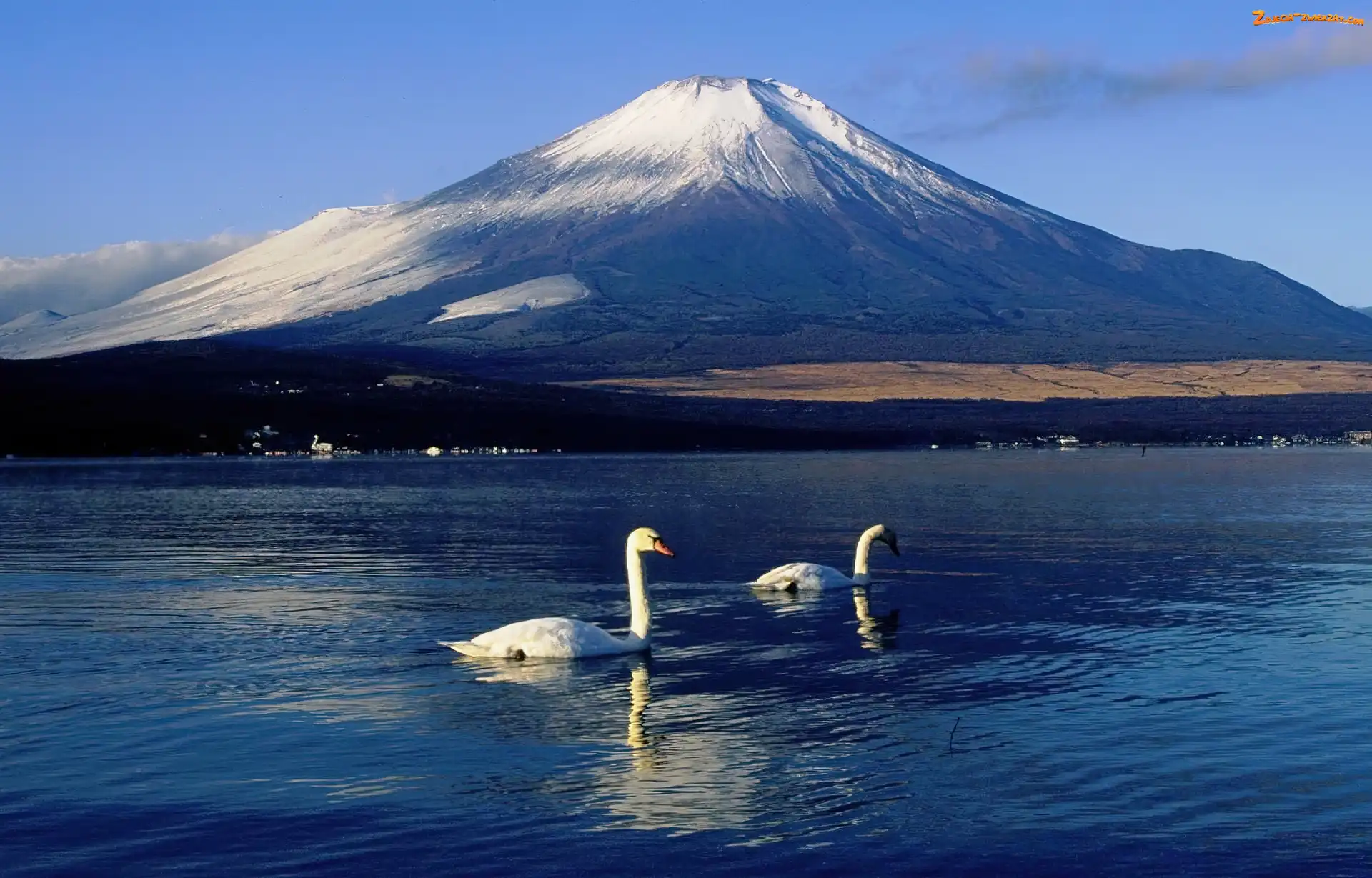 Japonia, Fudżi, Łabędzie, Jezioro, Góra