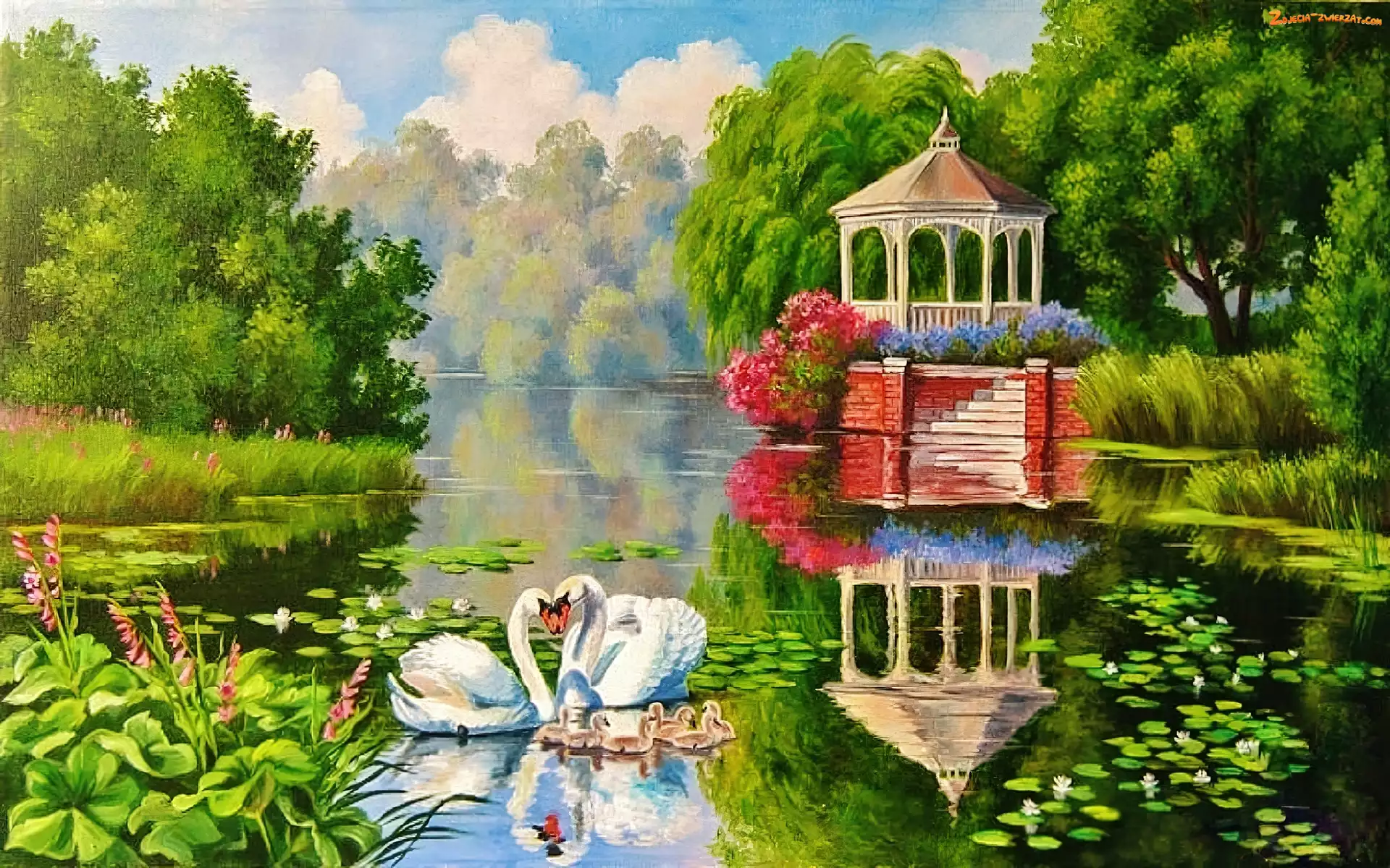 Park, Altana, Jezioro, Łabędzie
