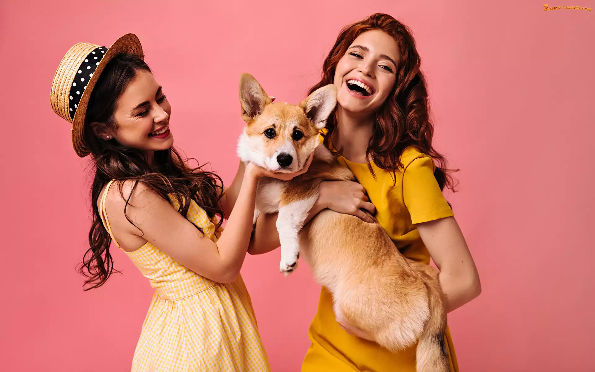Kapelusz, Dwie, Młode, Uśmiech, Welsh corgi pembroke, Kobiety, Pies