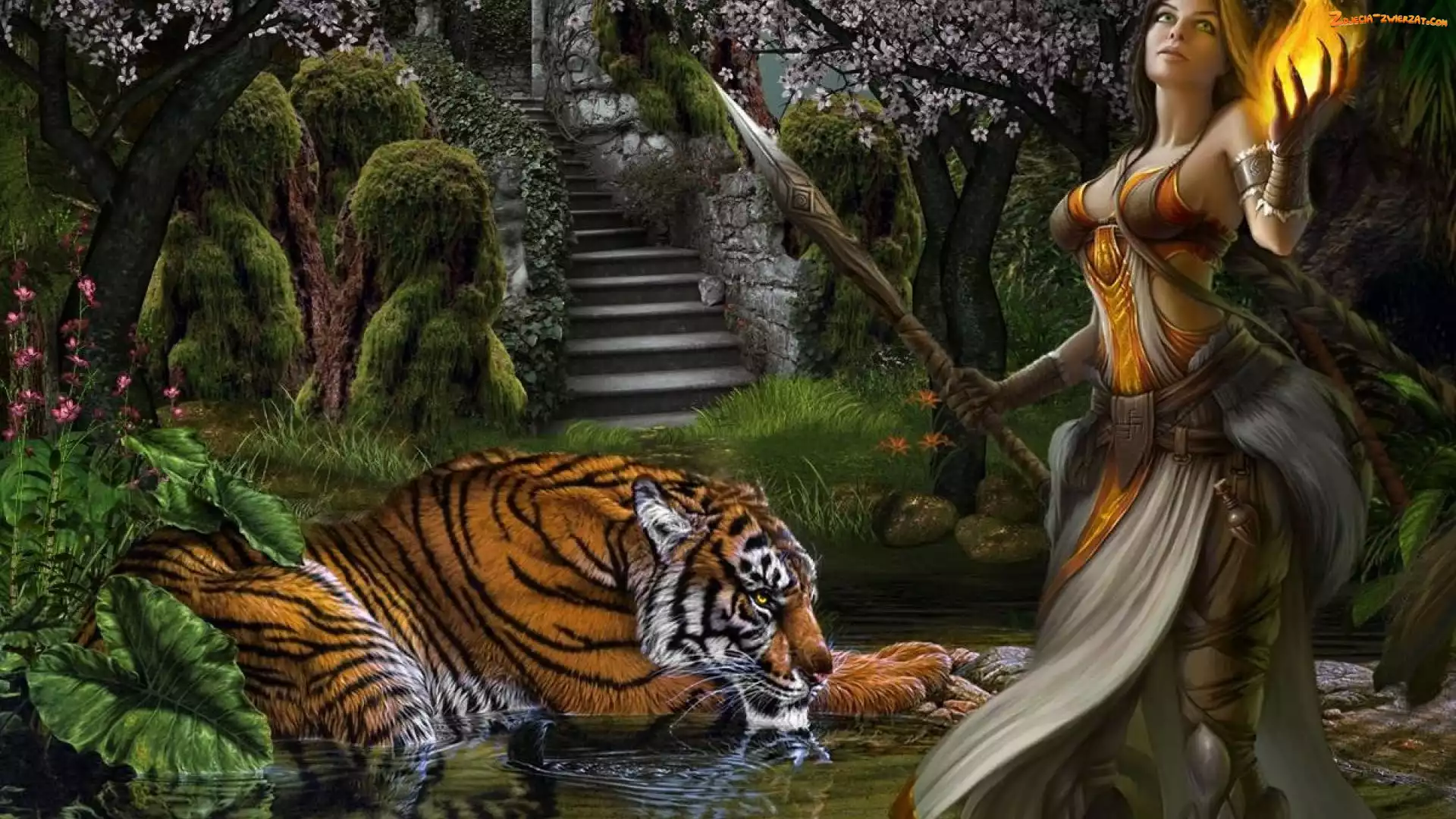 fantasy, Kobieta, Tygrys
