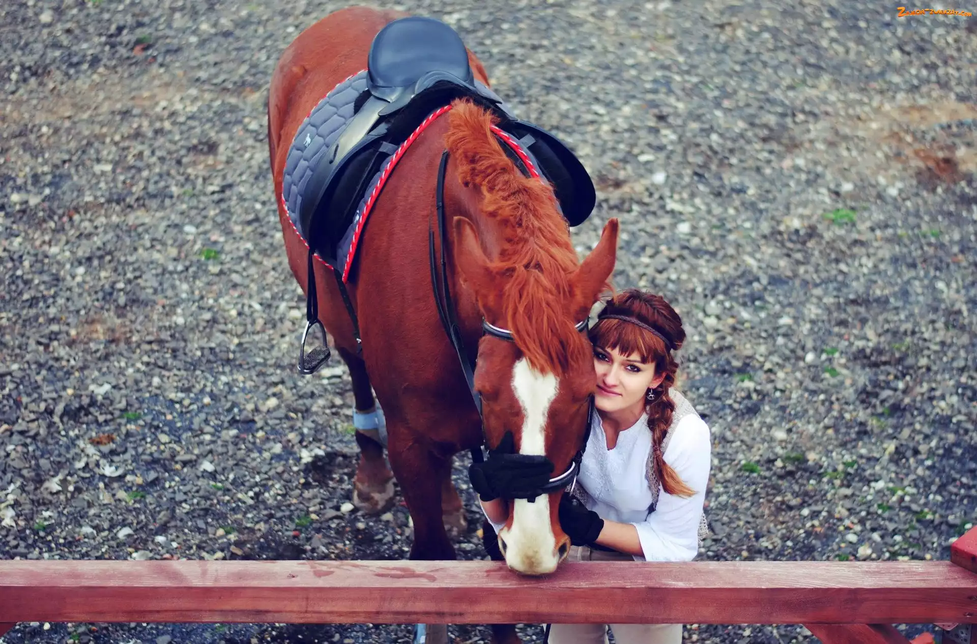 Koń, Kobieta, Zagroda