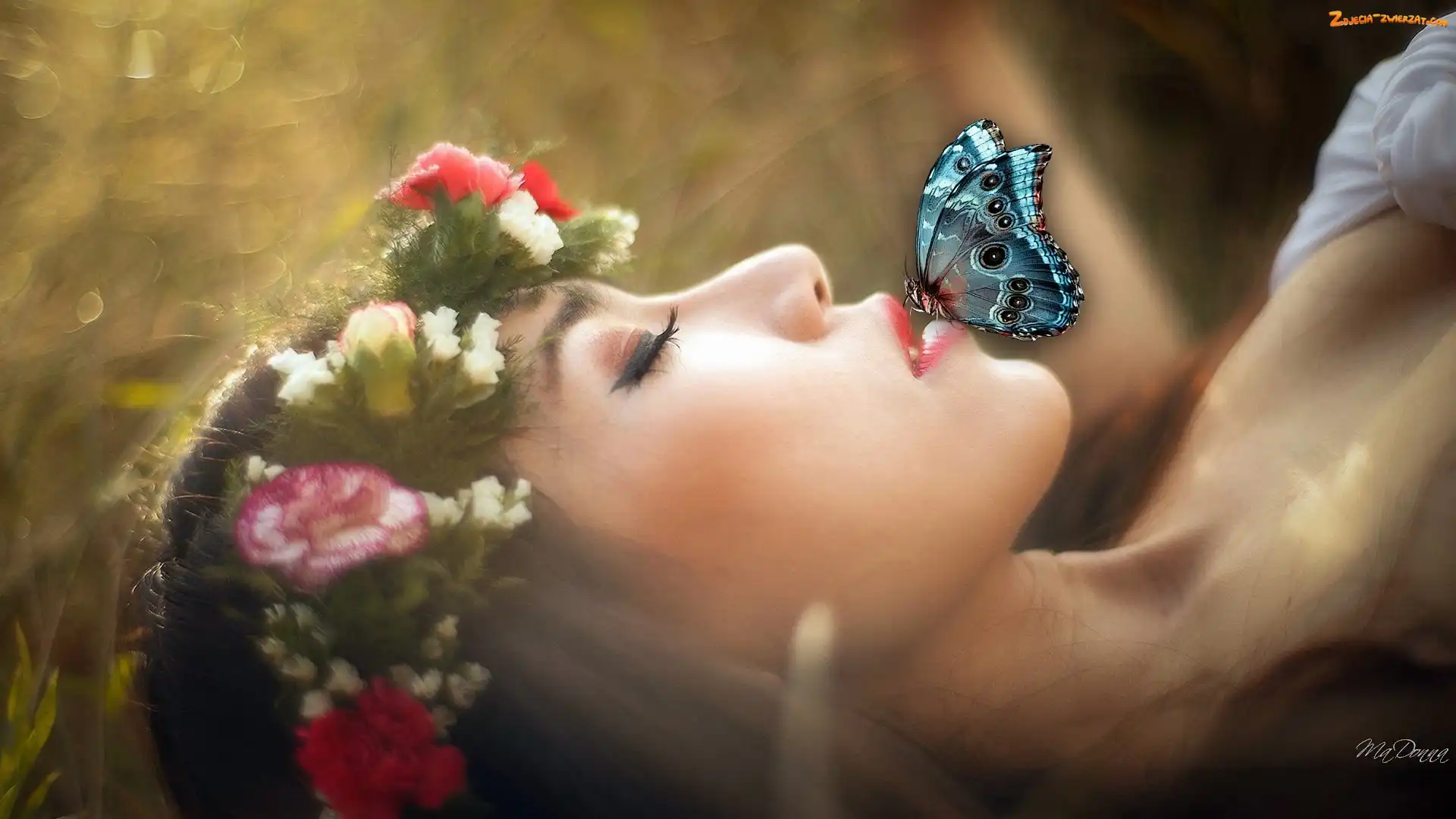 Motyl, Kobieta, Wianek