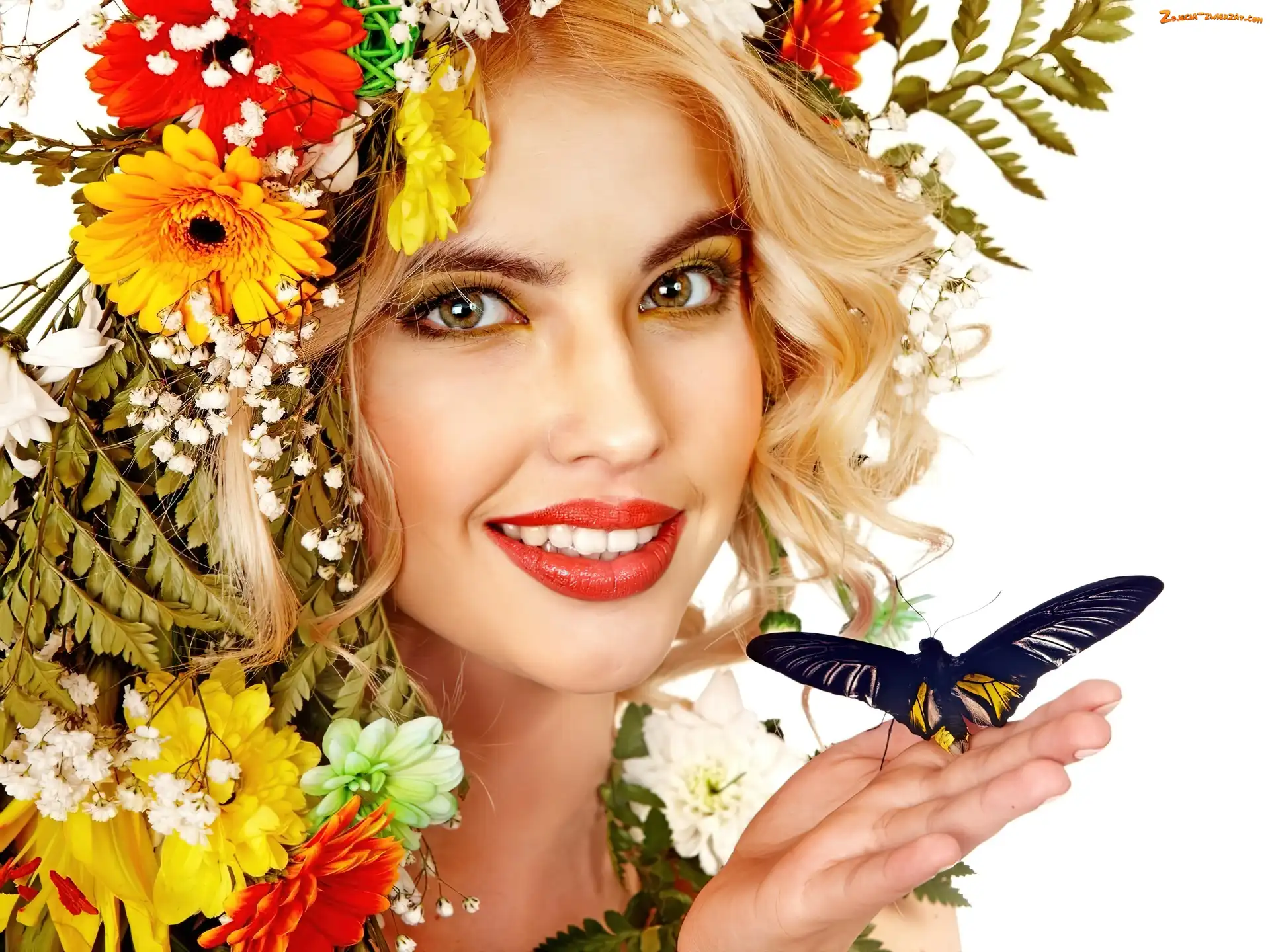 Motyl, Kobieta, Wiosna