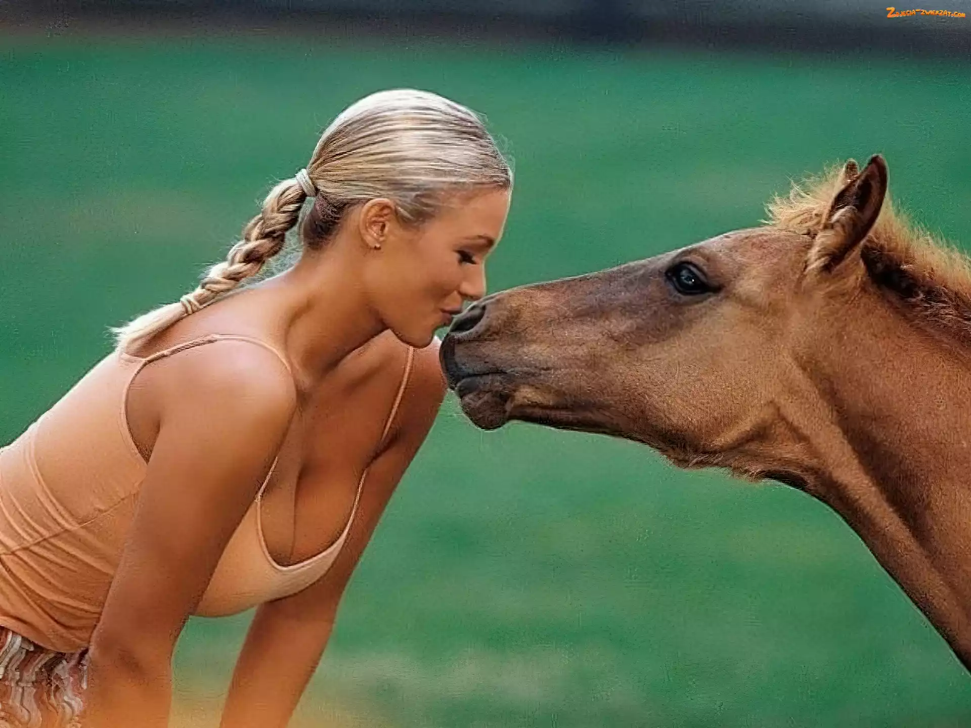 Pocałunek, Kobieta, Koń