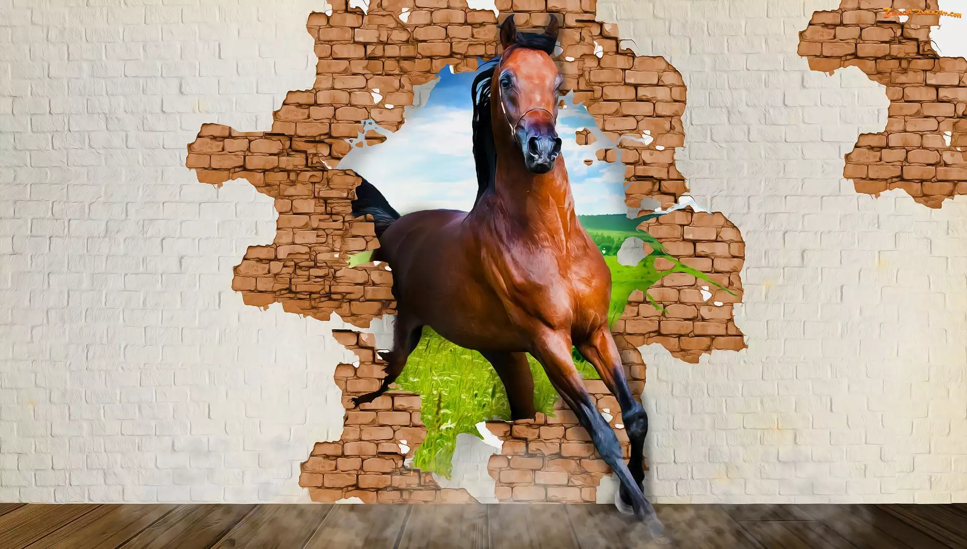 Grafika, Koń, Mur