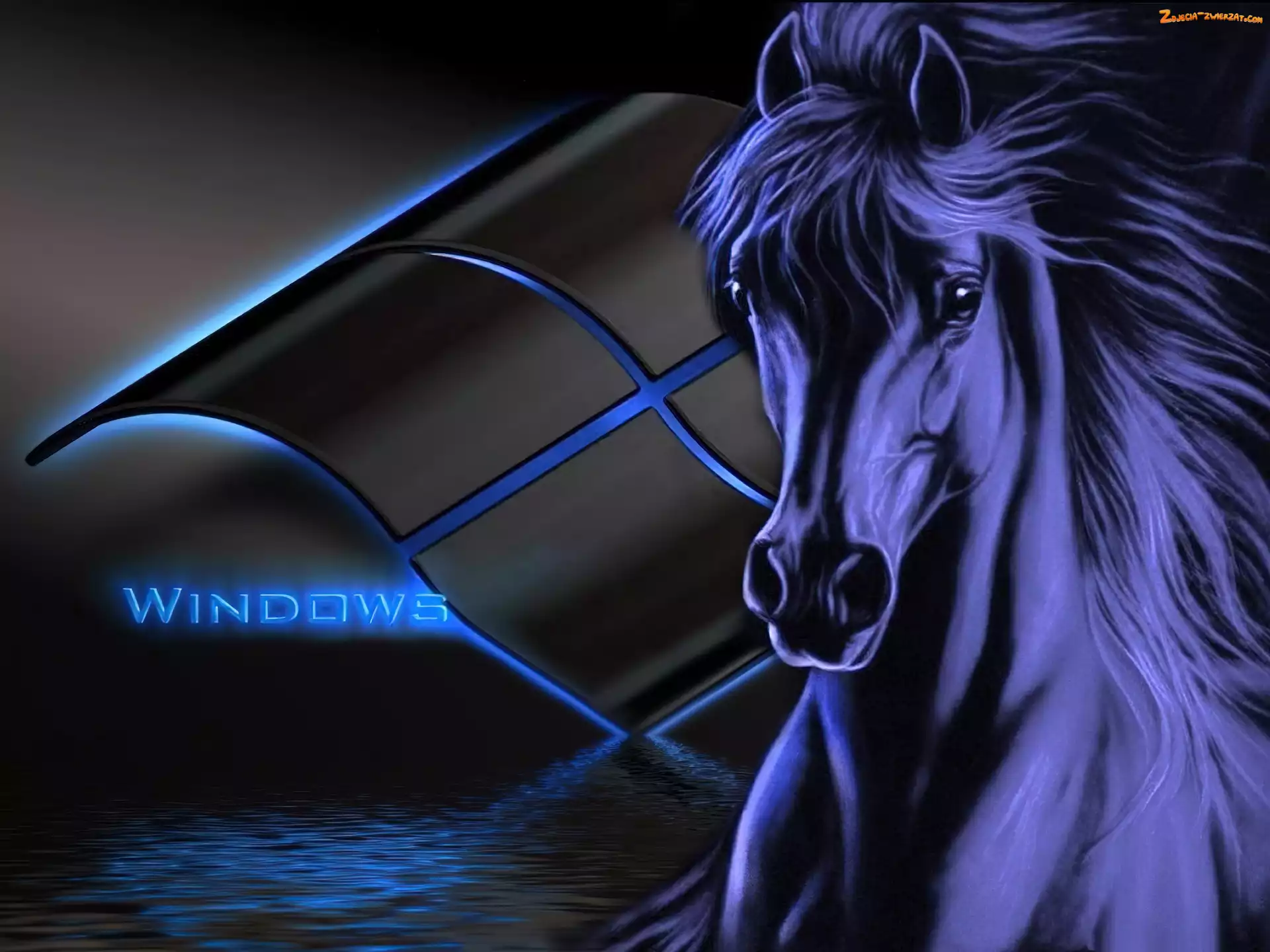 Windowsa, Koń, Logo