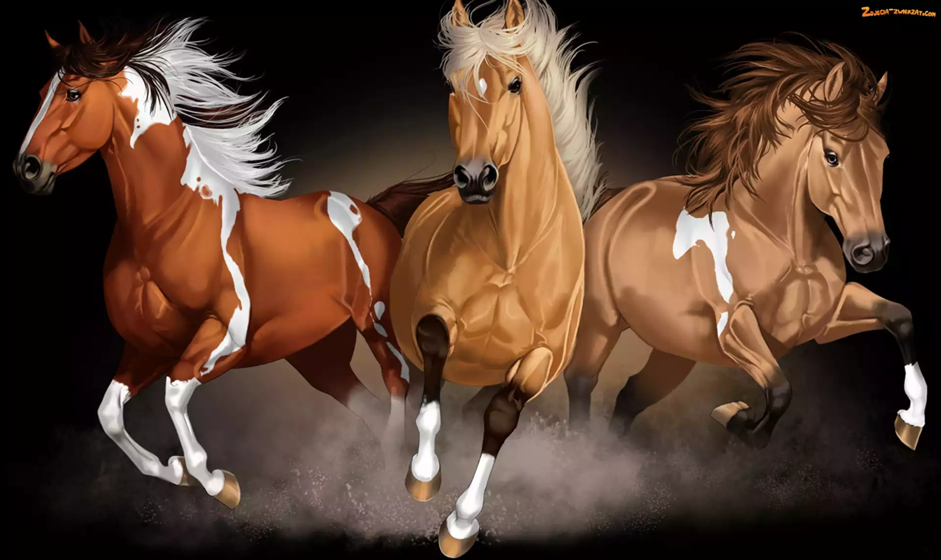 Konie, Galop