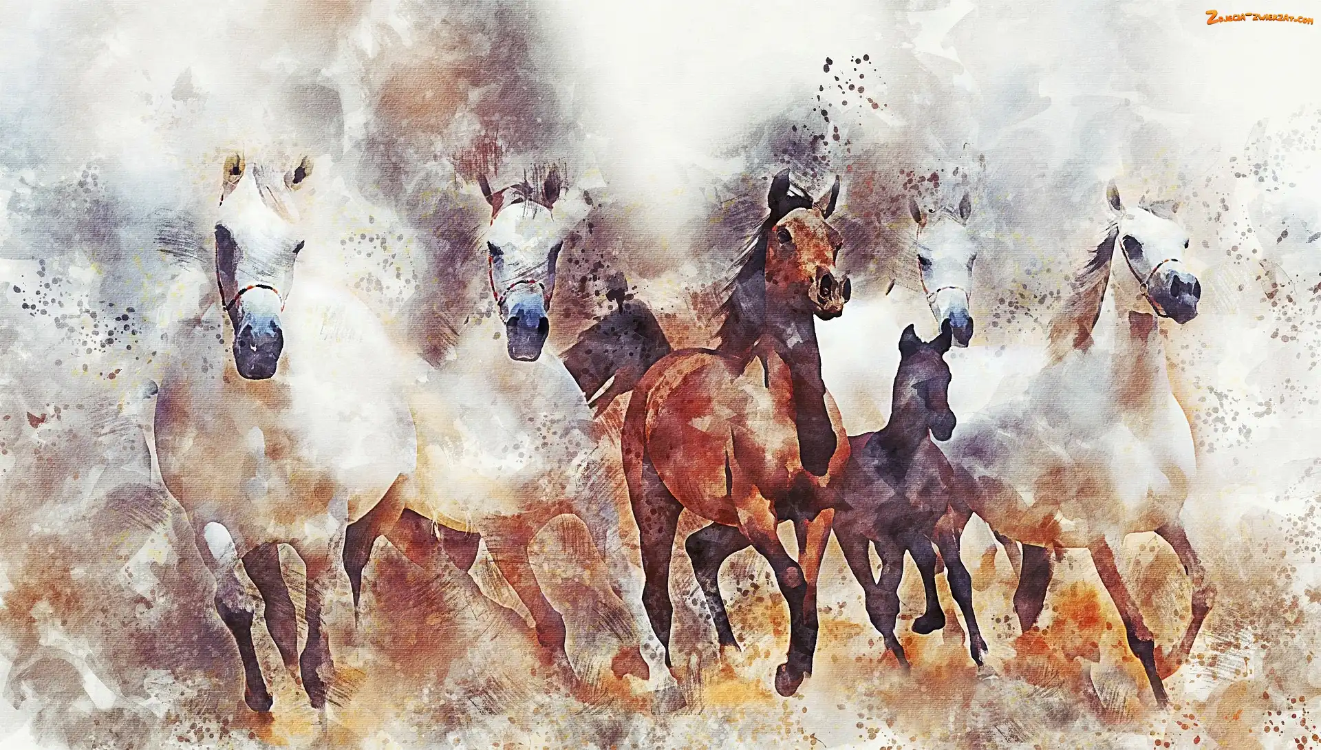 Grafika, Konie, Galop