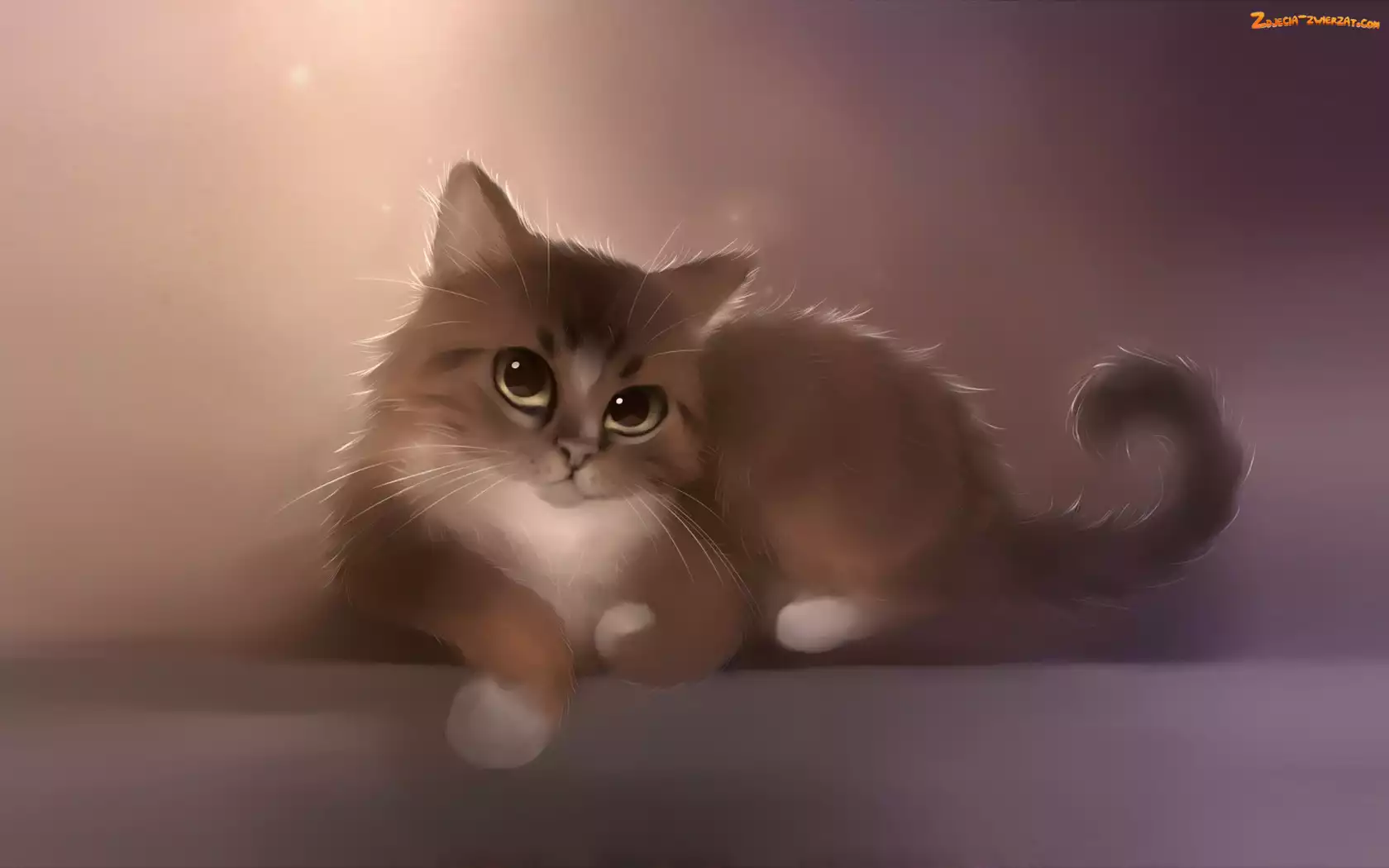 Kot