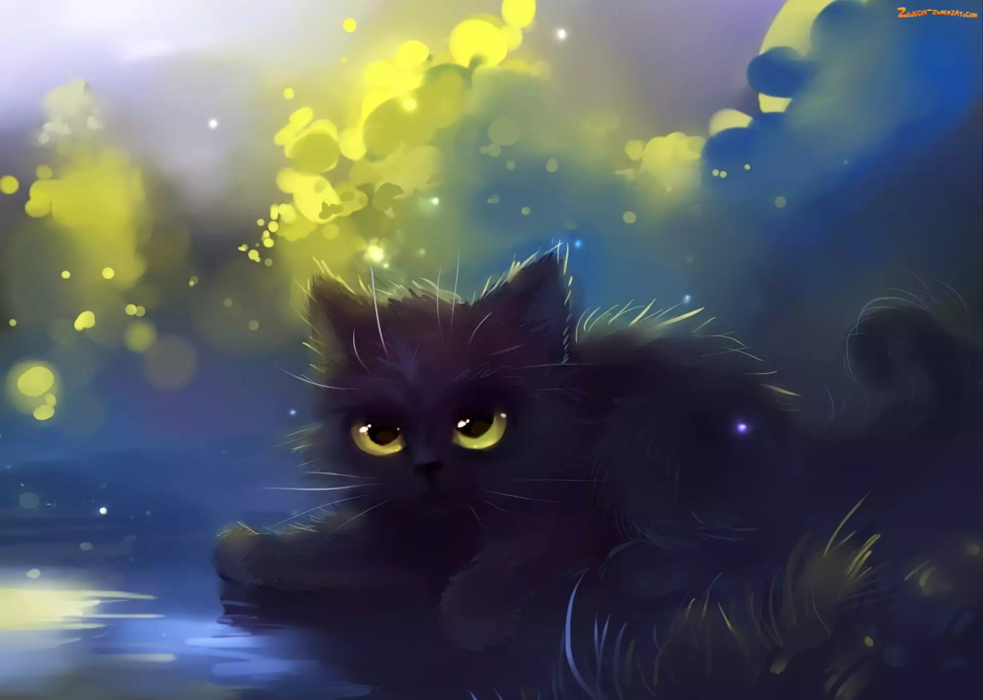 Kot, Fantasy