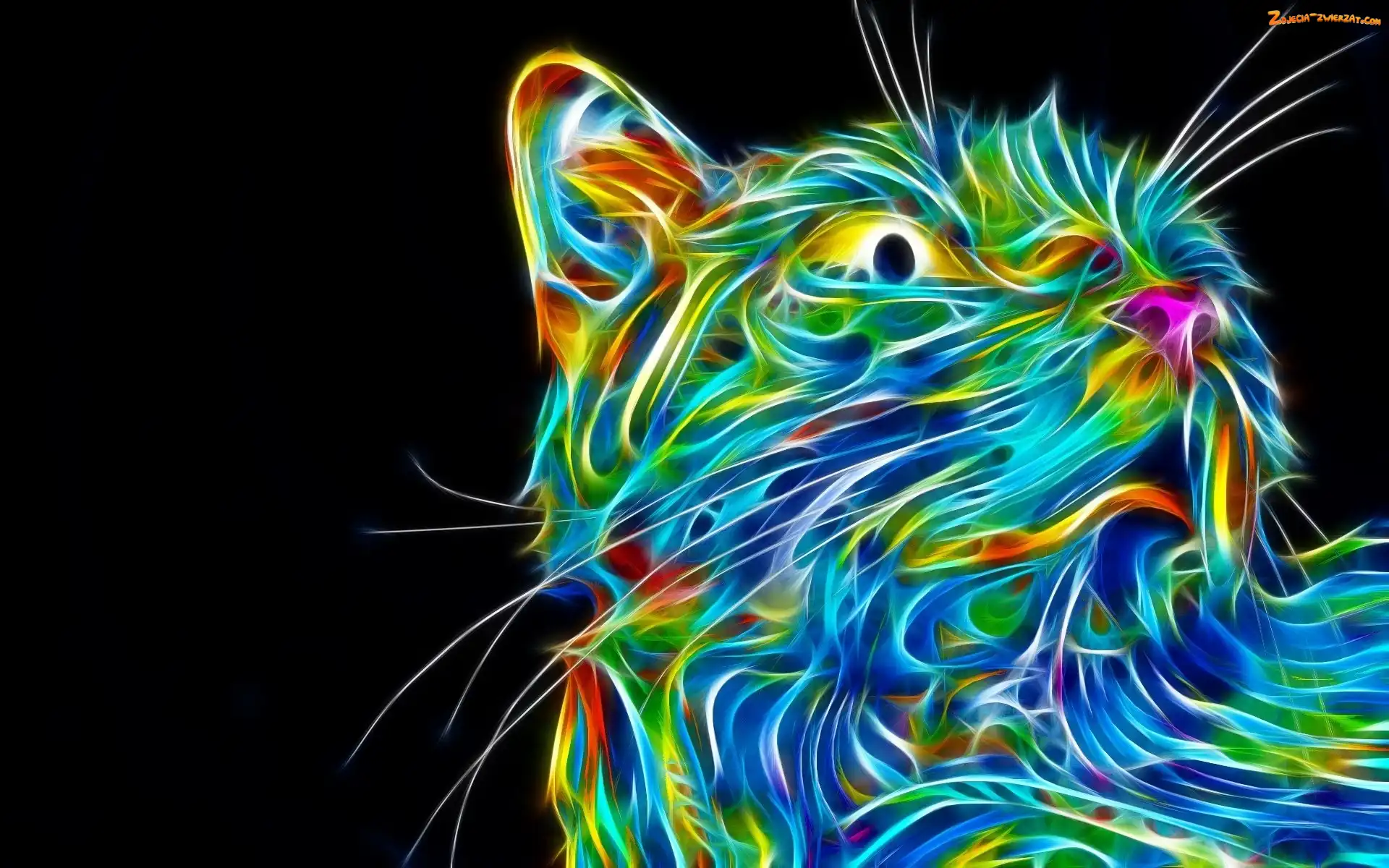 Grafika, Kot, Fractalius