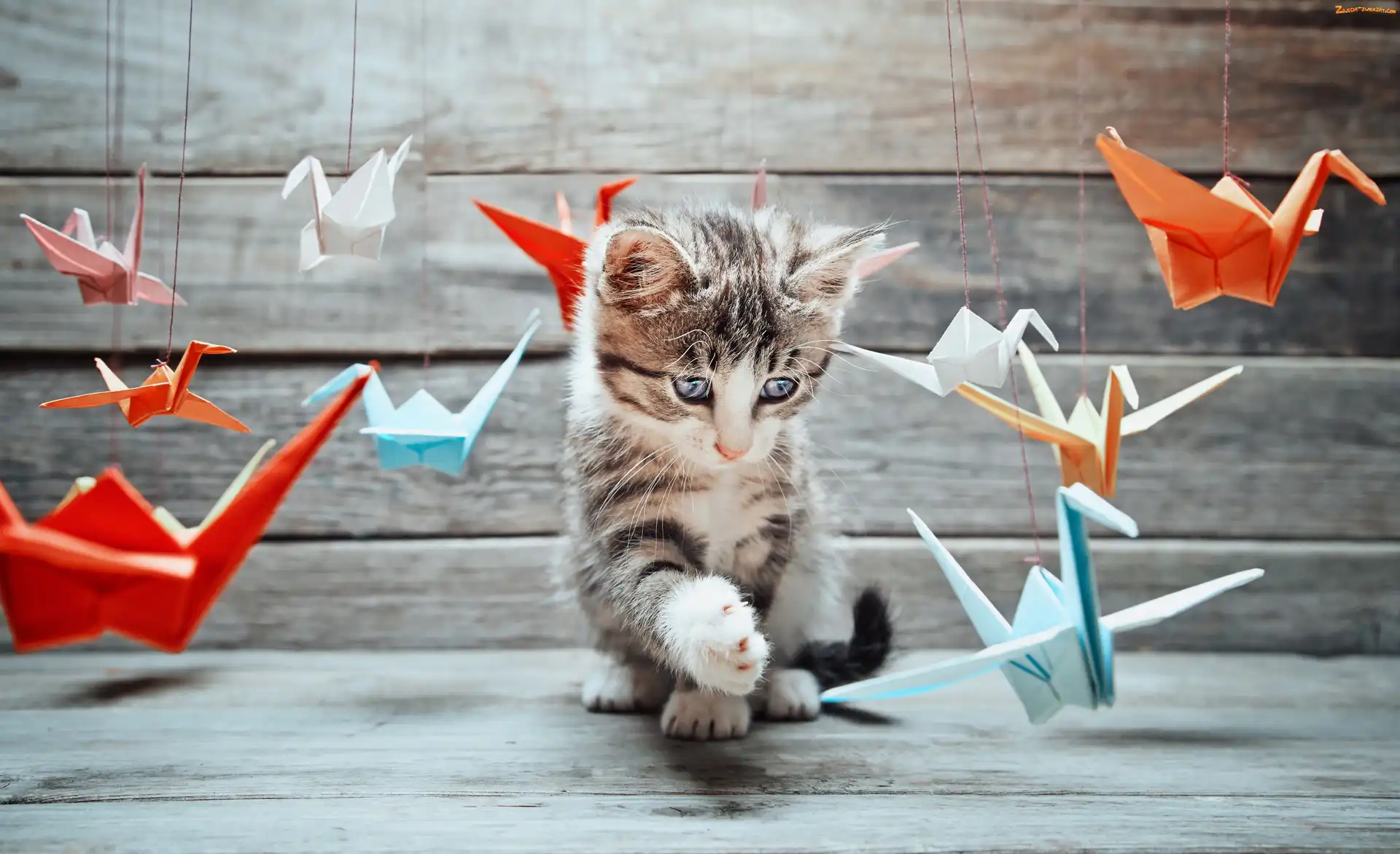 Origami, Kotek, Zabawa